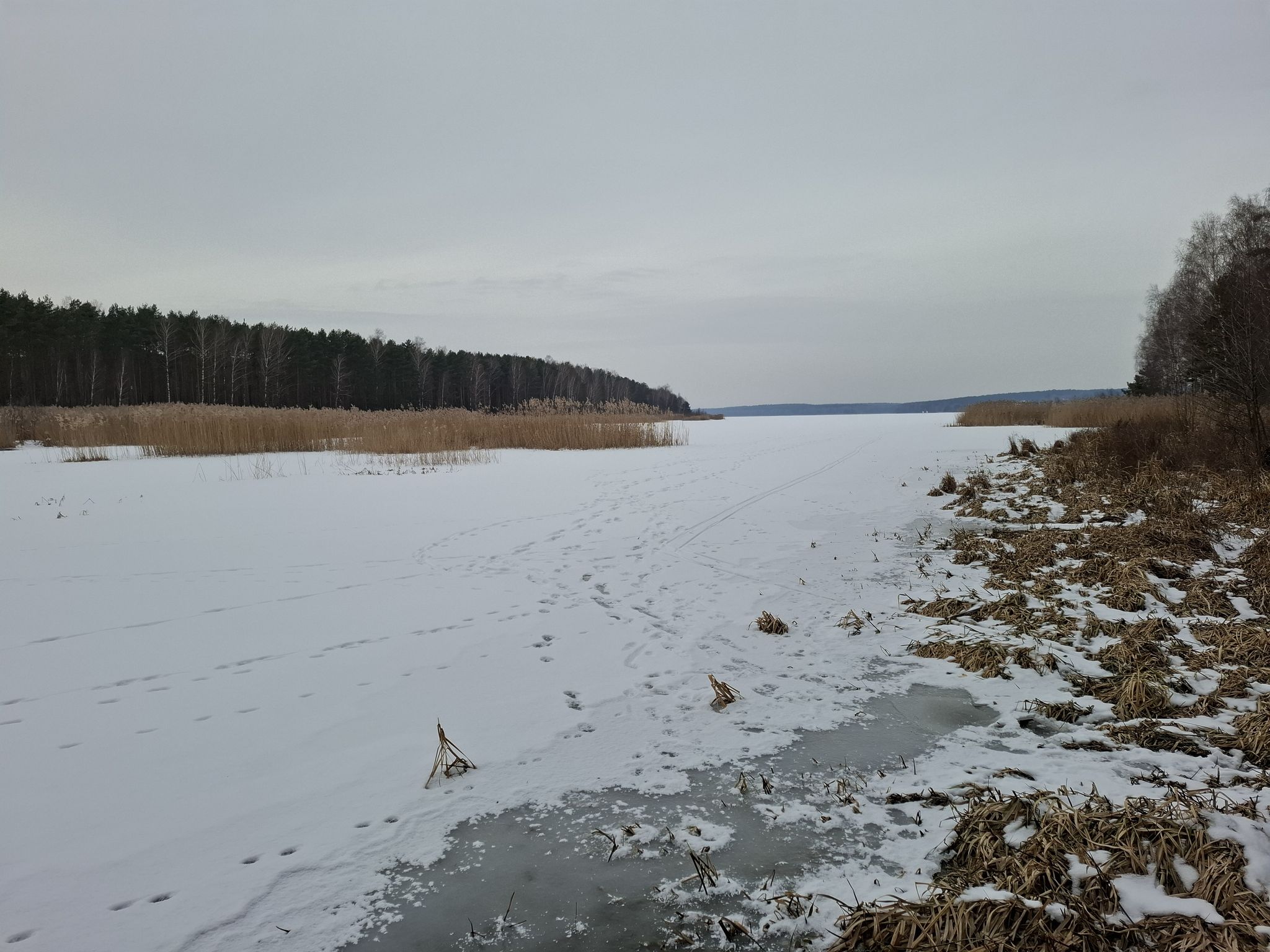Zatoczka Zalewu Sulejowskiego