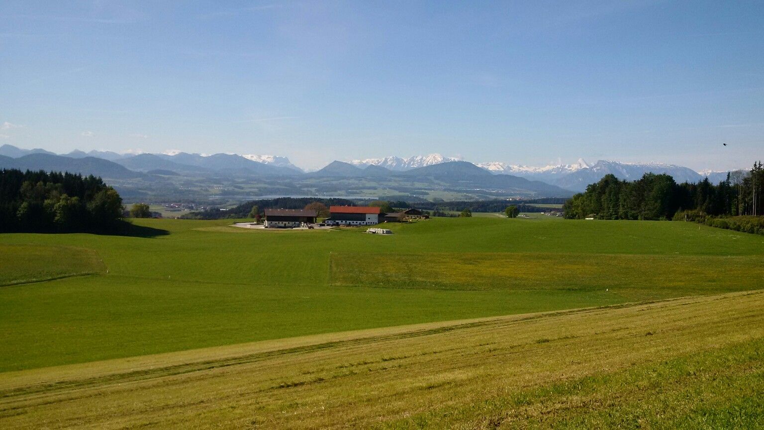 wallersee v. tannberg