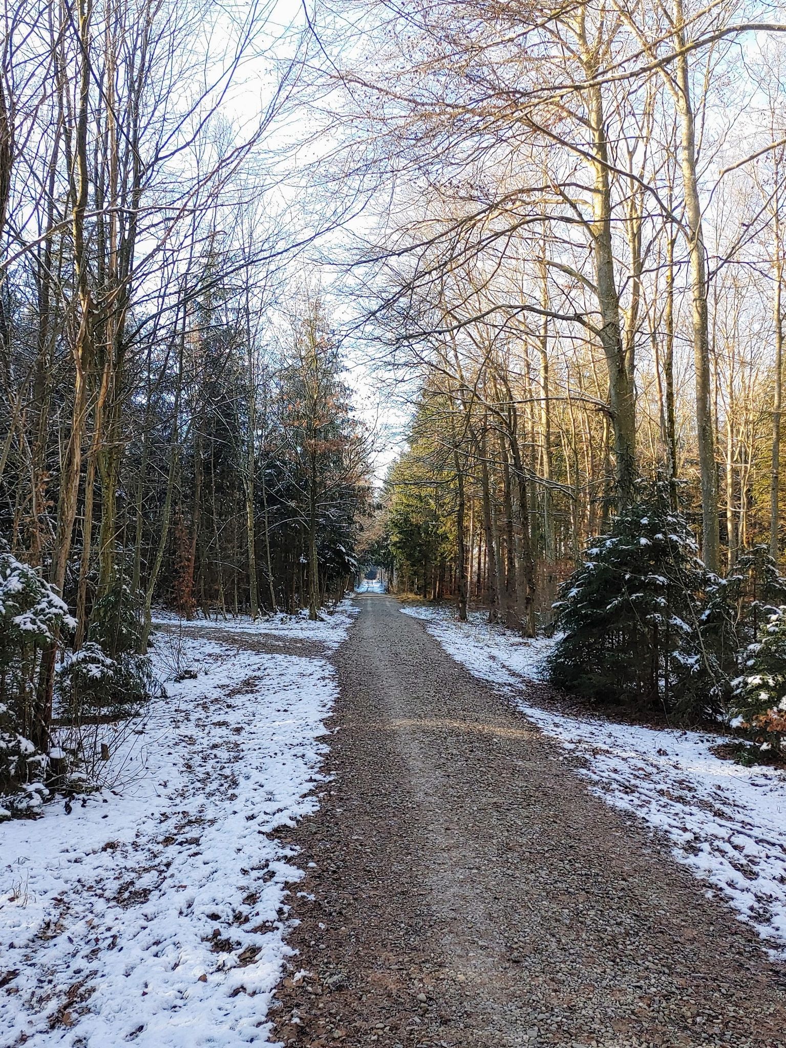 Entlang dem Friedheimer Waldweg nach Westen