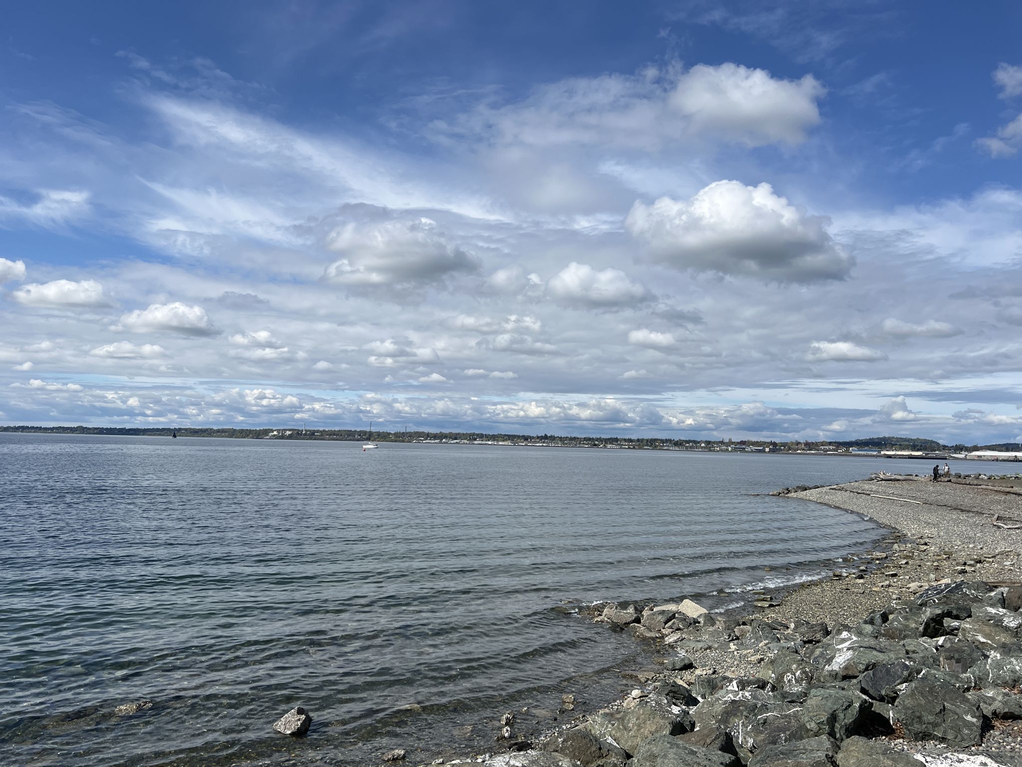Wide bay with rocky shore, calm water, and scattered clouds under blue sky. - Boulevard Park – South Bay Trail loop from Sehome Hill Arboretum