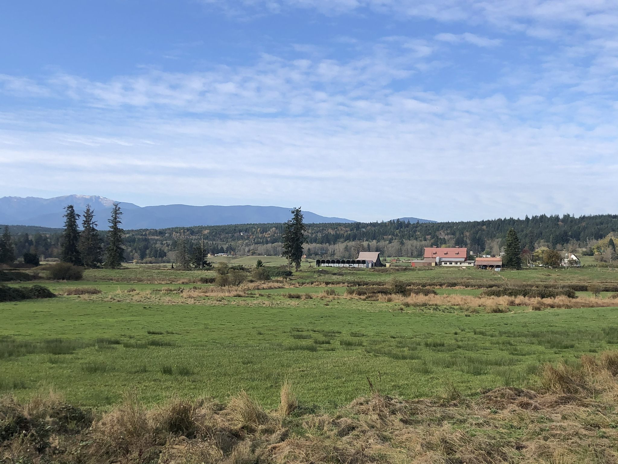 Green fields, distant mountains, and scattered buildings under a bright sky. - Teal Lake – Port Ludlow loop from Teal Lake