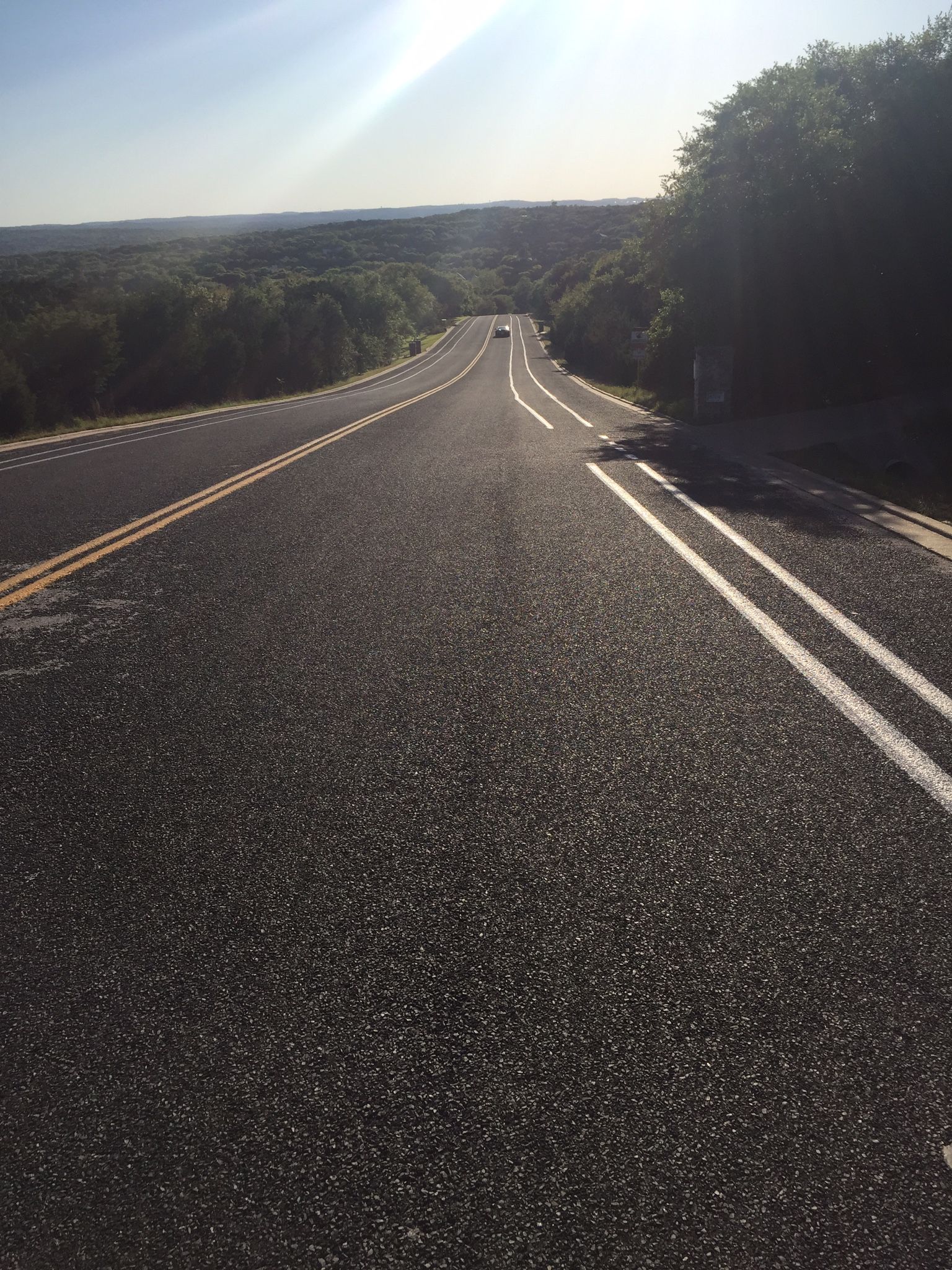 Empty road stretches into the distance with sun glare and dense trees. - Shepherd Mountain loop