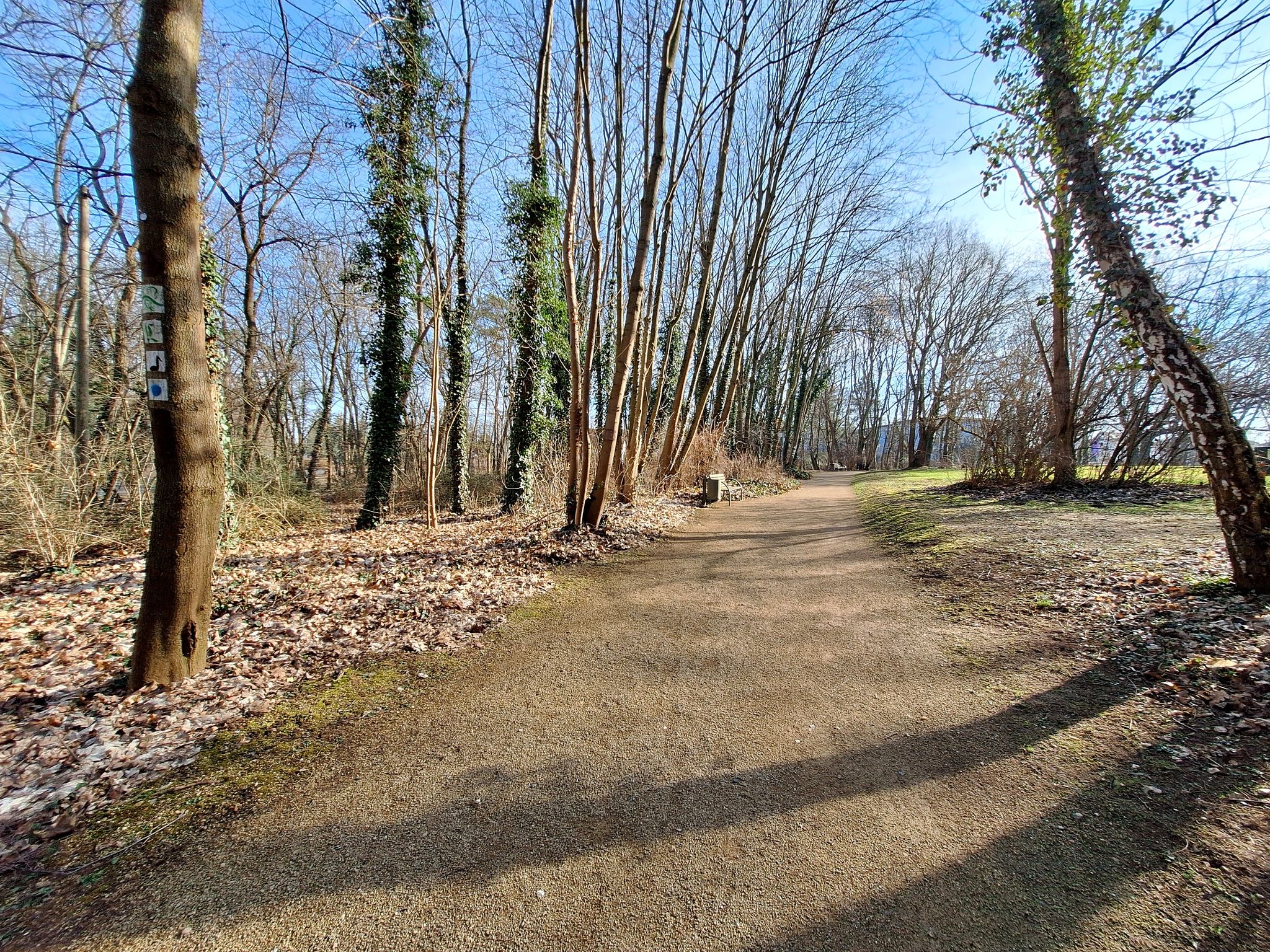 Lutherweg im Kurpark