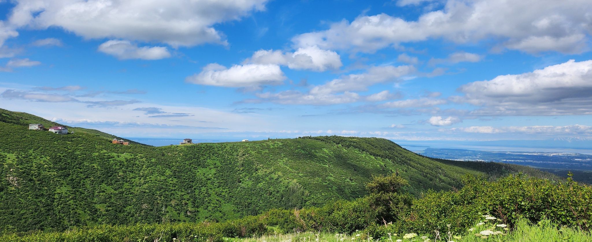 Lush green hills and distant water under a bright blue sky with white clouds. - Rabbit Creek Trail loop from Grandview Homeowner's Association