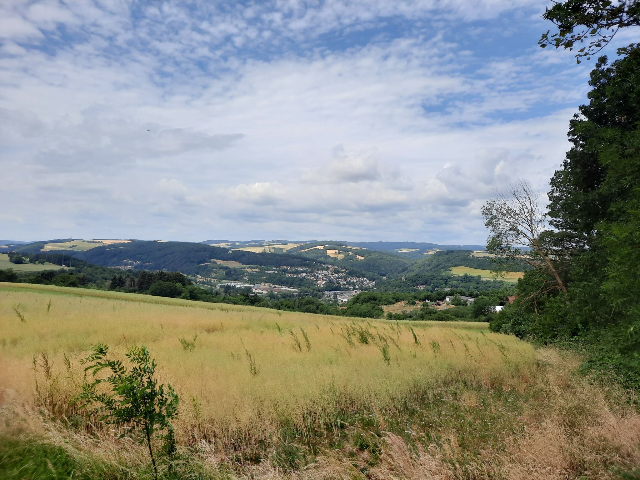 Blick ins Nordwestpfälzer Bergland