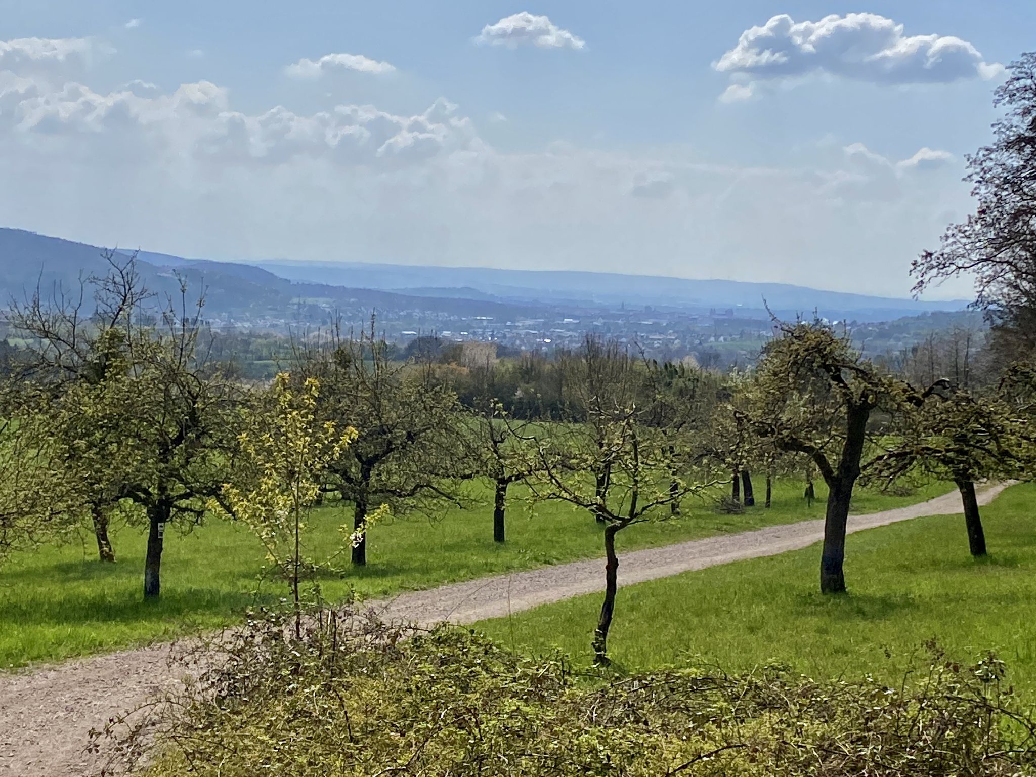 Super Weitsicht...mit Blick auf Aschaffenburg - Schloss - und im Hintergrund der Odenwald