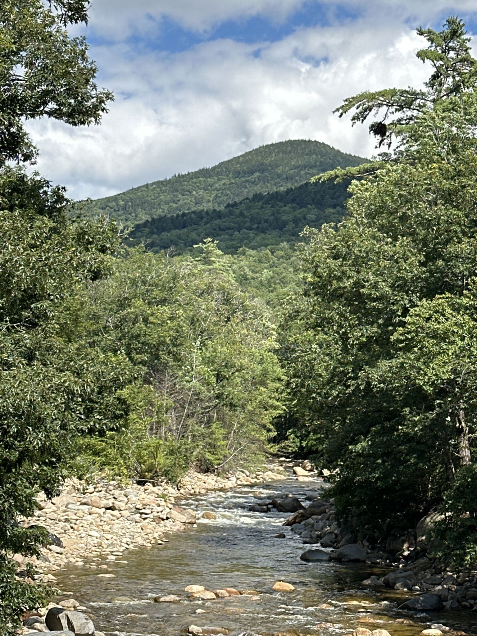 A rocky river flows through a dense green forest with a mountain. - Pinkham Notch and Evan's Notch loop
