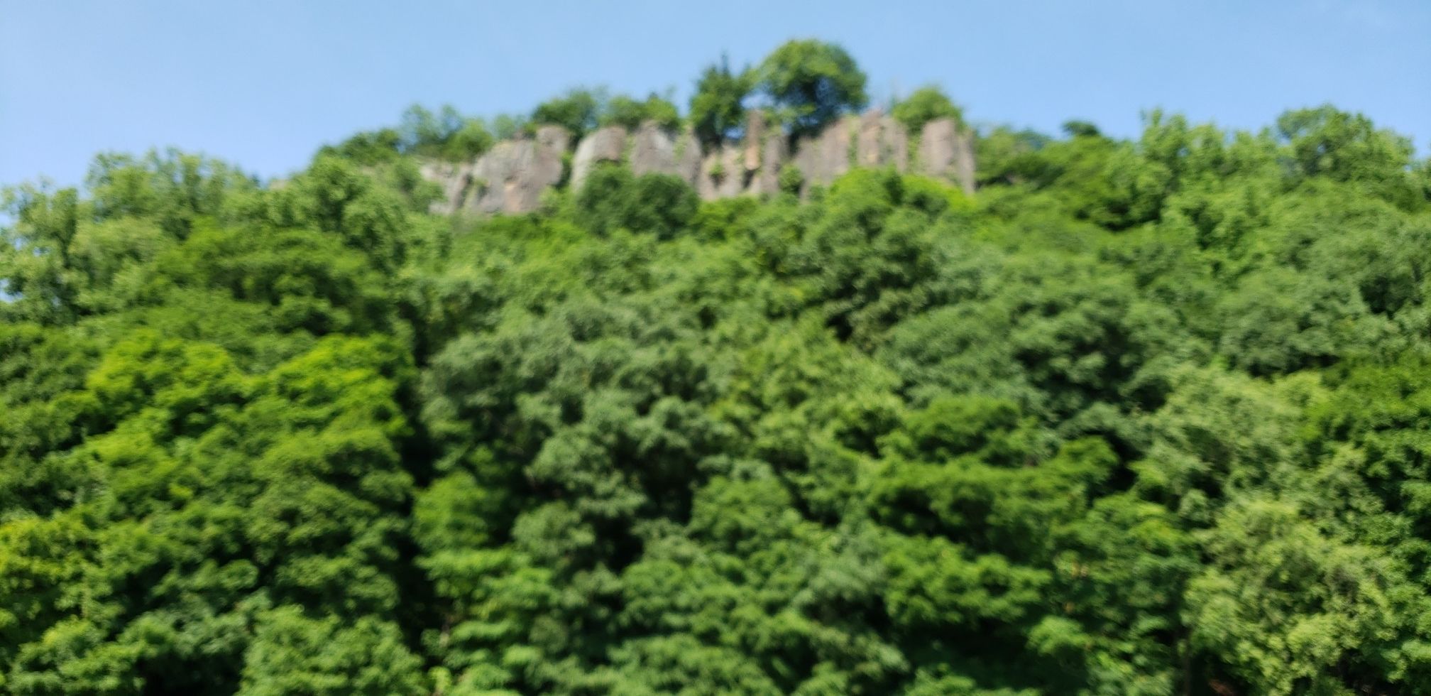 Lush green forest covers a steep hillside with rocky outcrops under blue sky. - Ross Dock Picnic Area – Henry Hudson Drive loop from Fort Lee