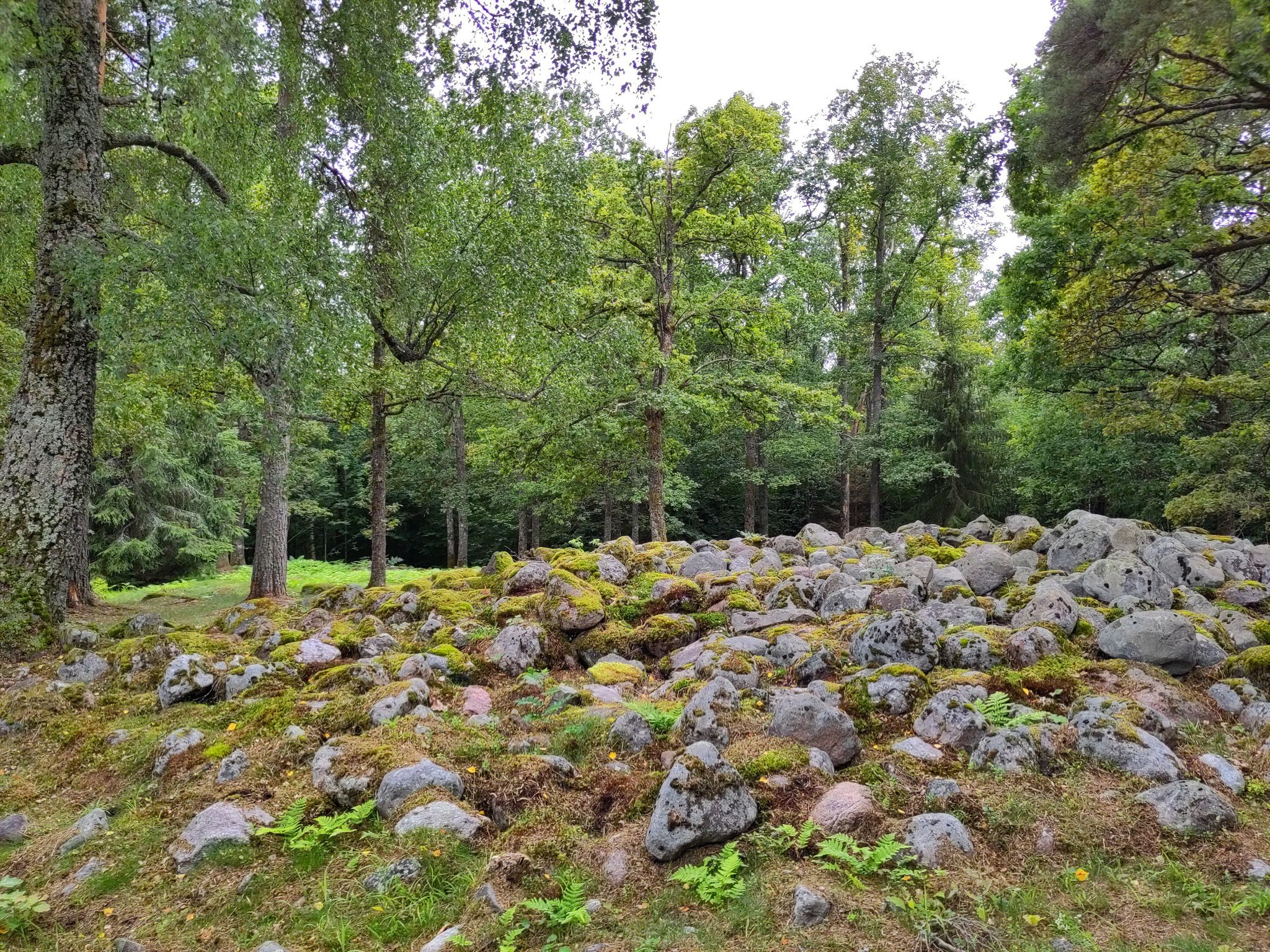 Jernalderfelt på Bruserød