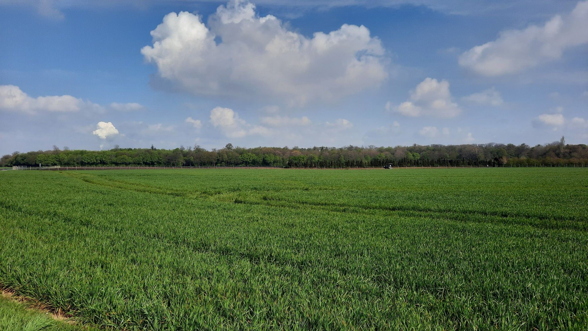 Blick auf den Heltorfer Schlosspark