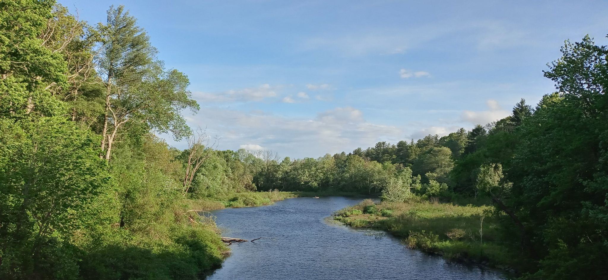 A wide river flows through a lush green forest under a bright sky. - Bay Circuit Trail and Rocky Narrows Loop