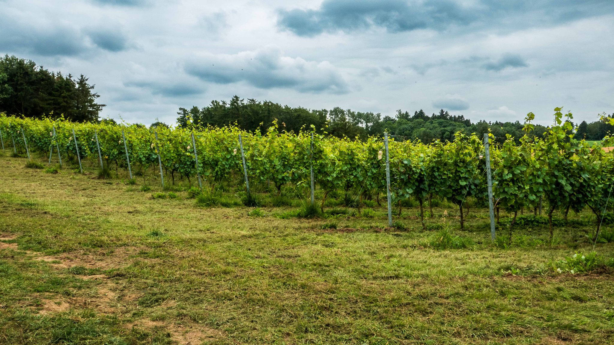 Domaine de Glabais