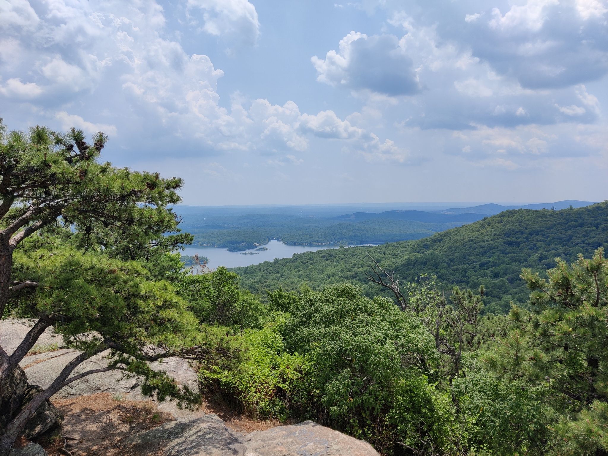 Pine trees frame a distant lake and green hills under a bright, cloudy sky. - Wyanokie High Point and Chikahoki Falls Loop