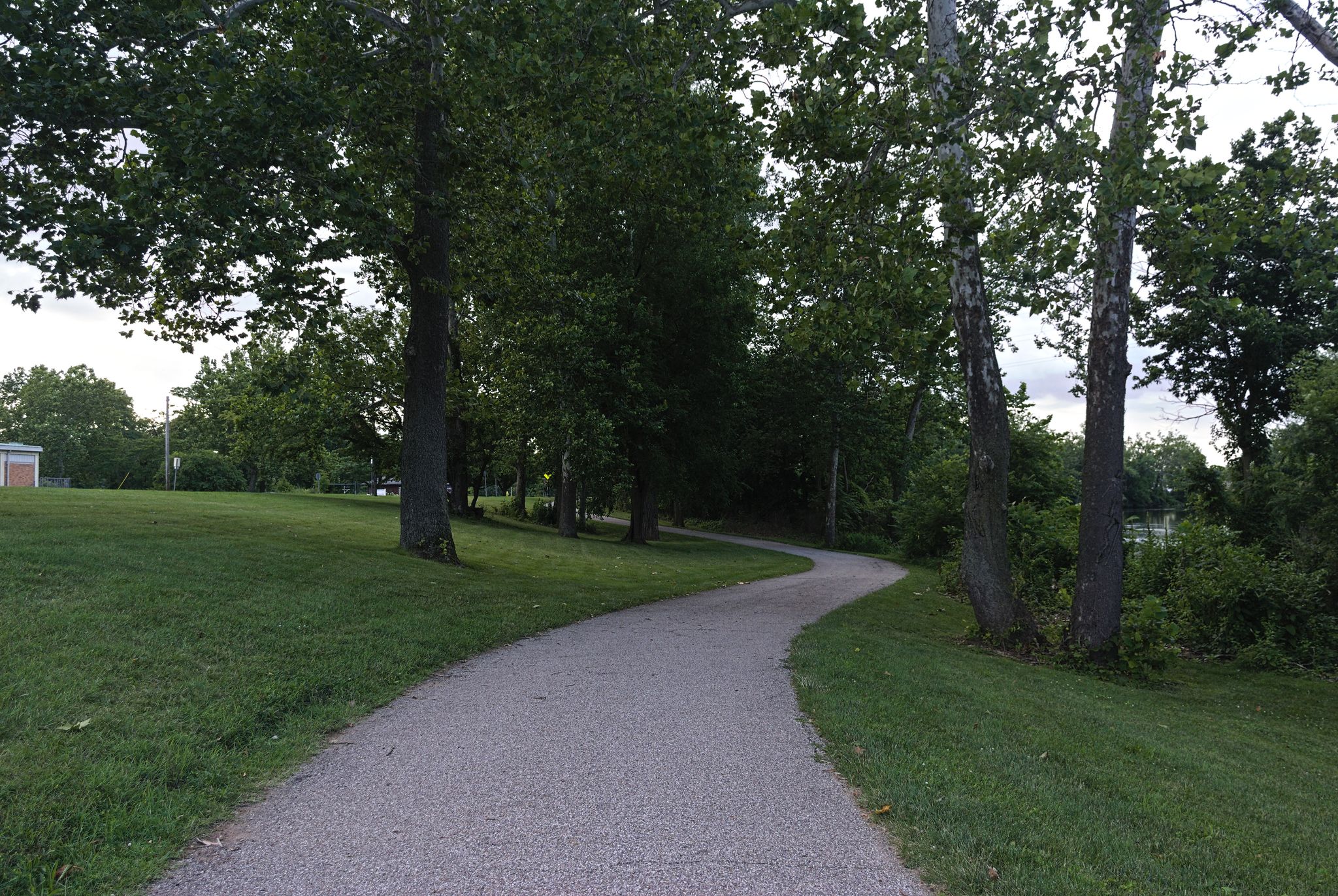 Winding paved path through a green, tree-lined park on a bright day. - Saint Joseph's Lake loop from South Bend
