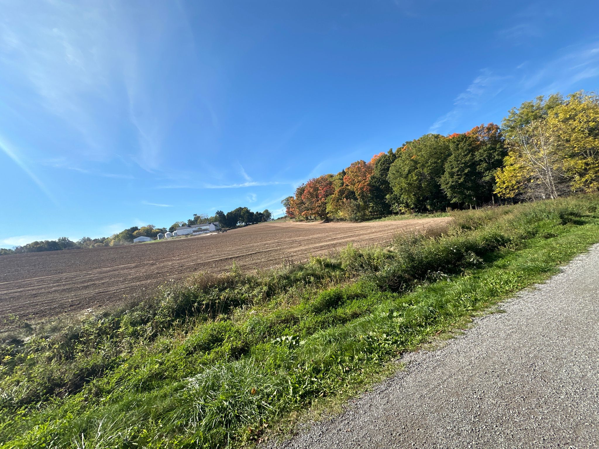 Sunny autumn day with a plowed field, colorful trees, and a gravel path. - Auburn and Lehigh Valley Trails Loop
