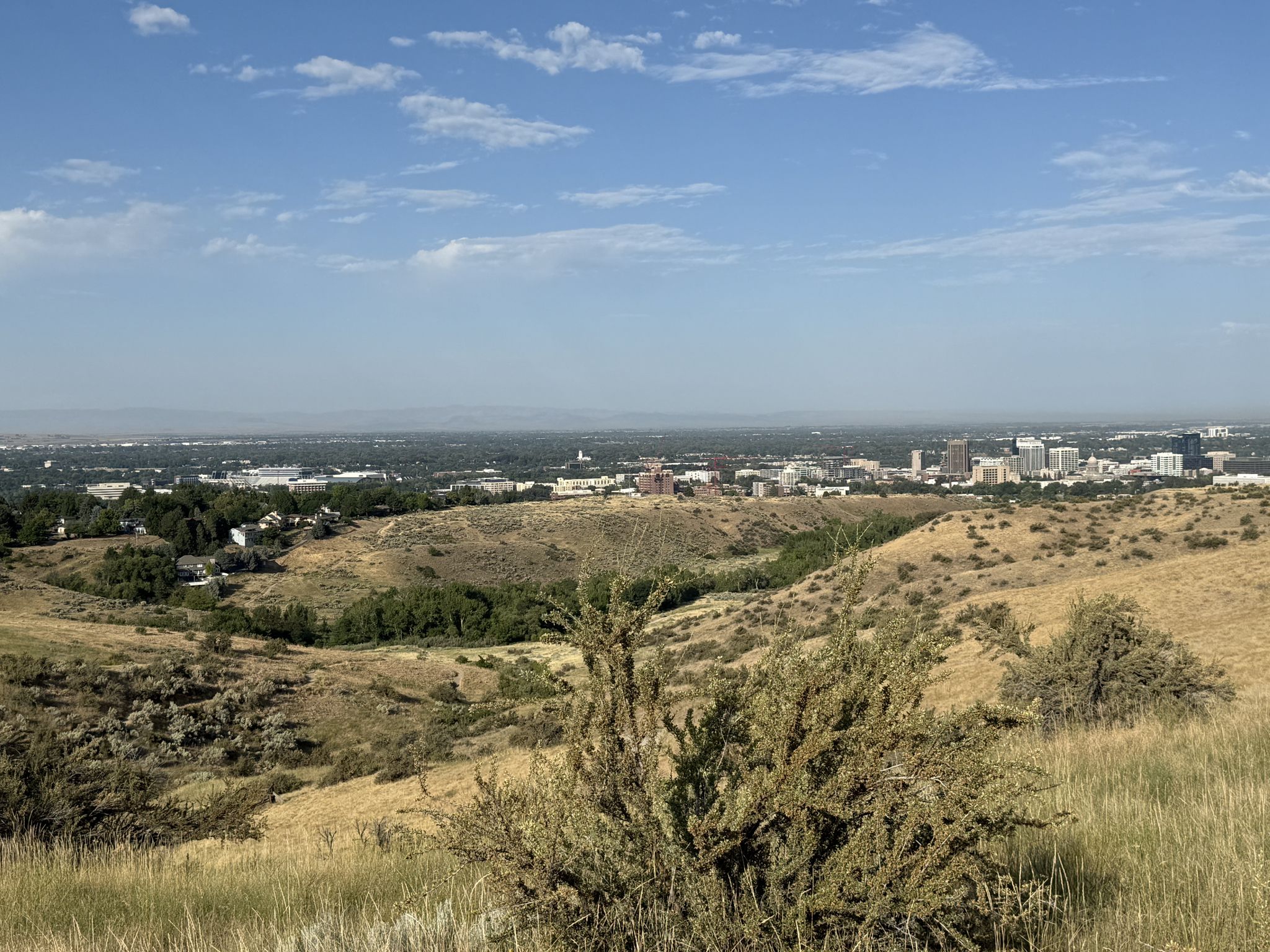 Panoramic view of a distant city from dry, rolling hills under blue sky. - Bucktail, Shane's, and the Central Ridge Trails