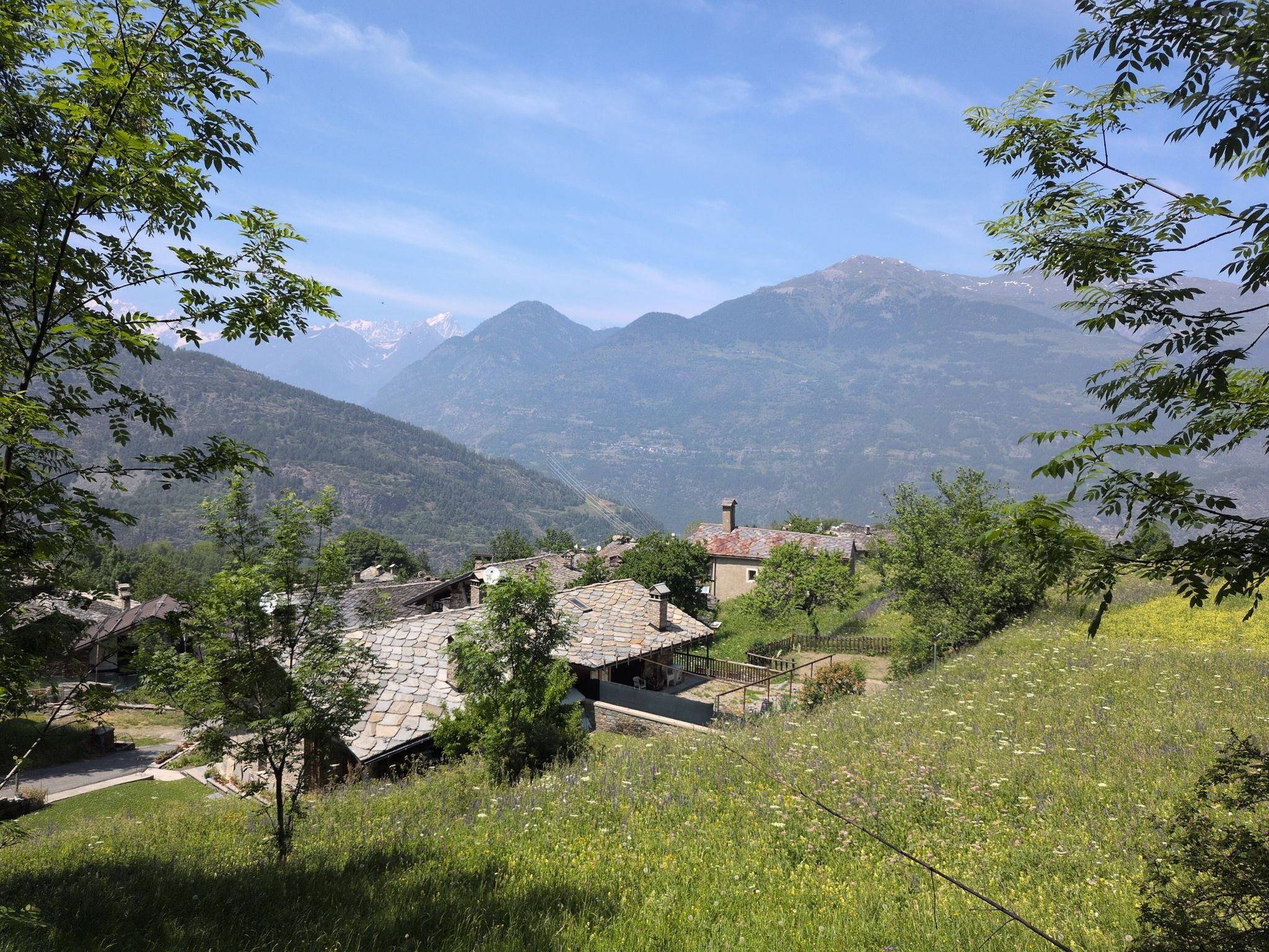 Les Colombes