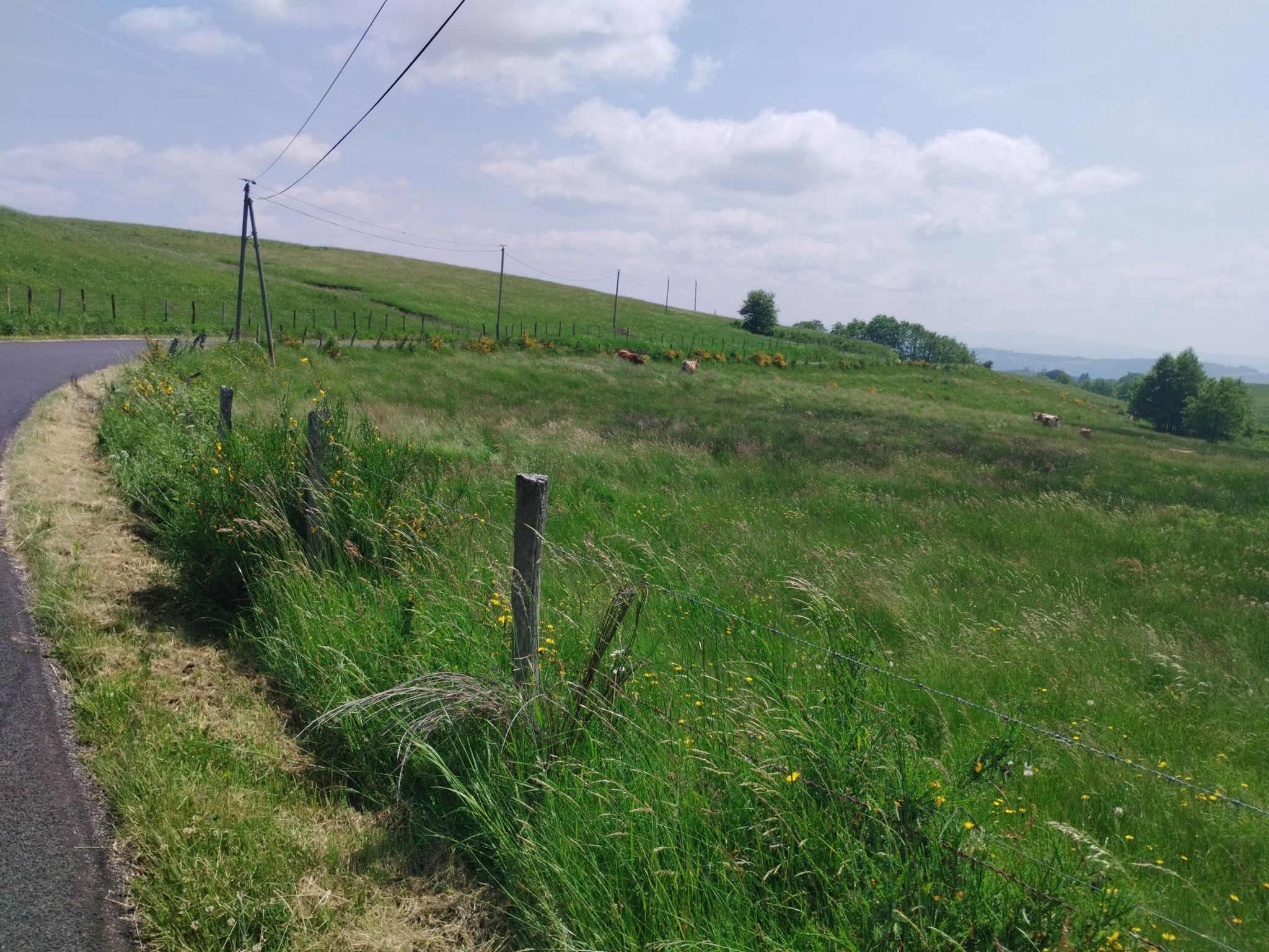 kleine Straße, hügelige Landschaft