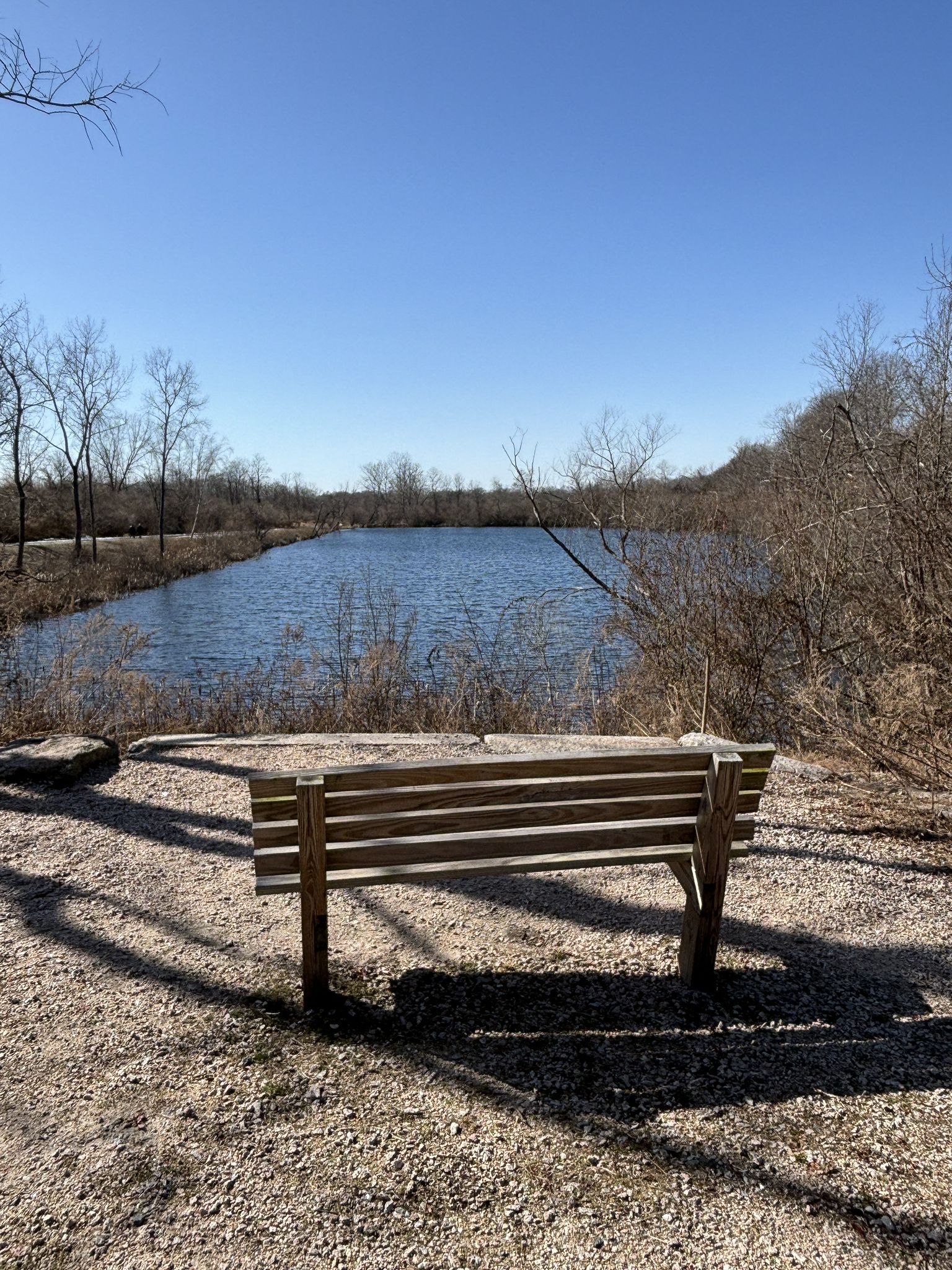 Wooden bench overlooking a calm lake surrounded by bare trees on a sunny day. - Shoreline Greenway Trail