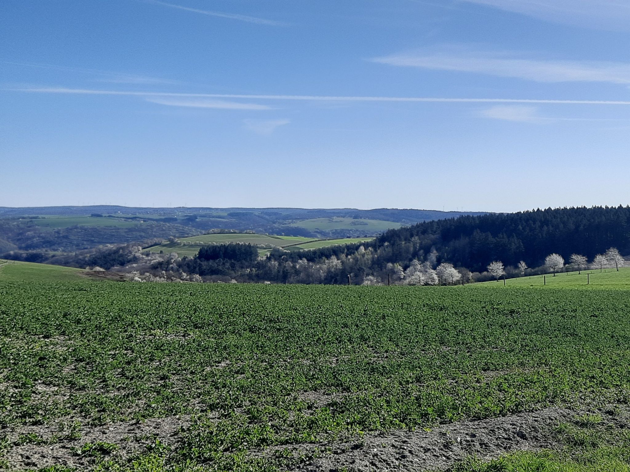 Hunsrück Richtung Rheintal
