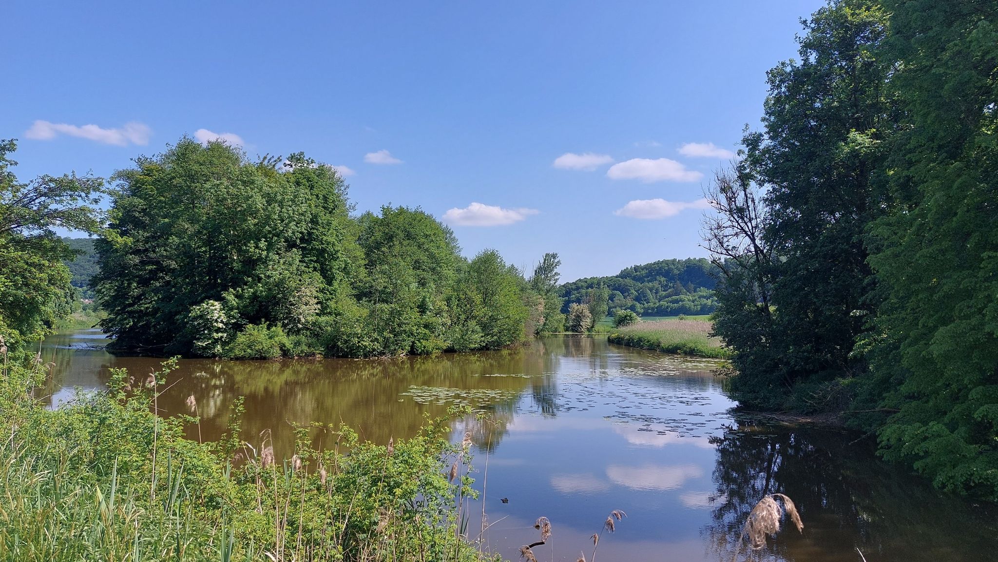 Altmühlrenaturierung bei Wasserzell