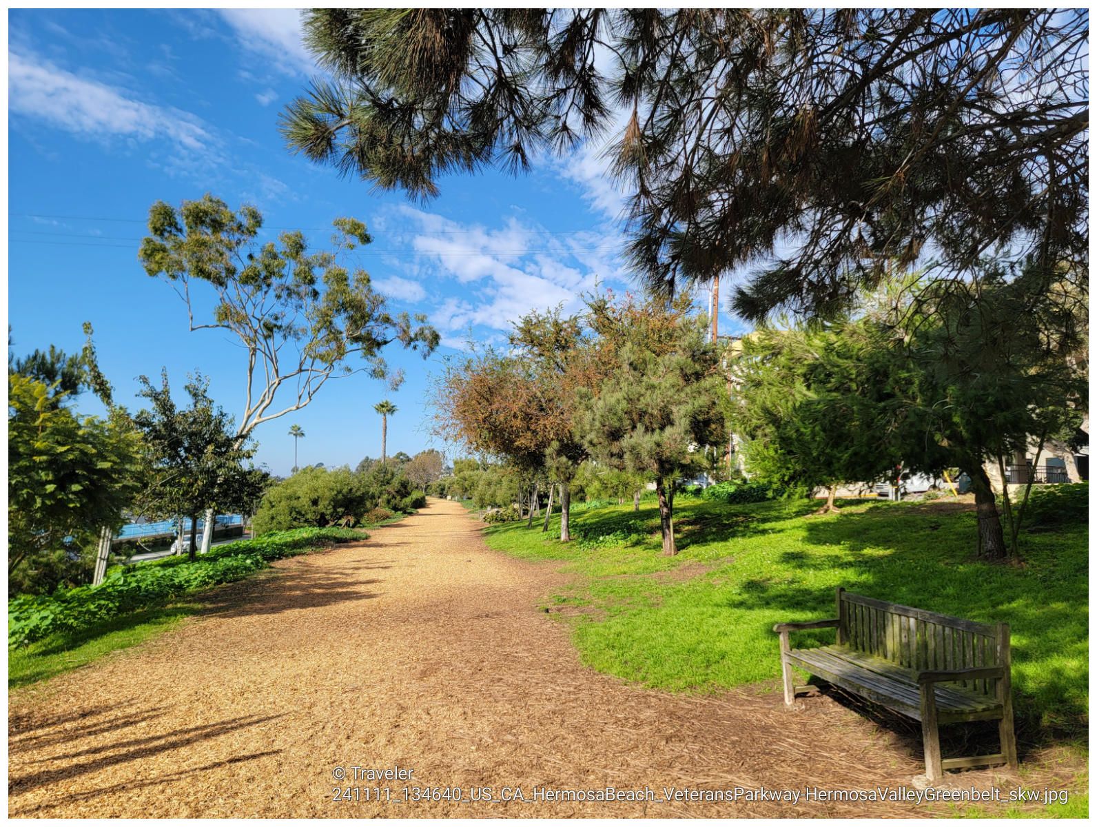 Dirt path winds through green trees under a bright blue sky, with a wooden bench. - Veteran's Parkway