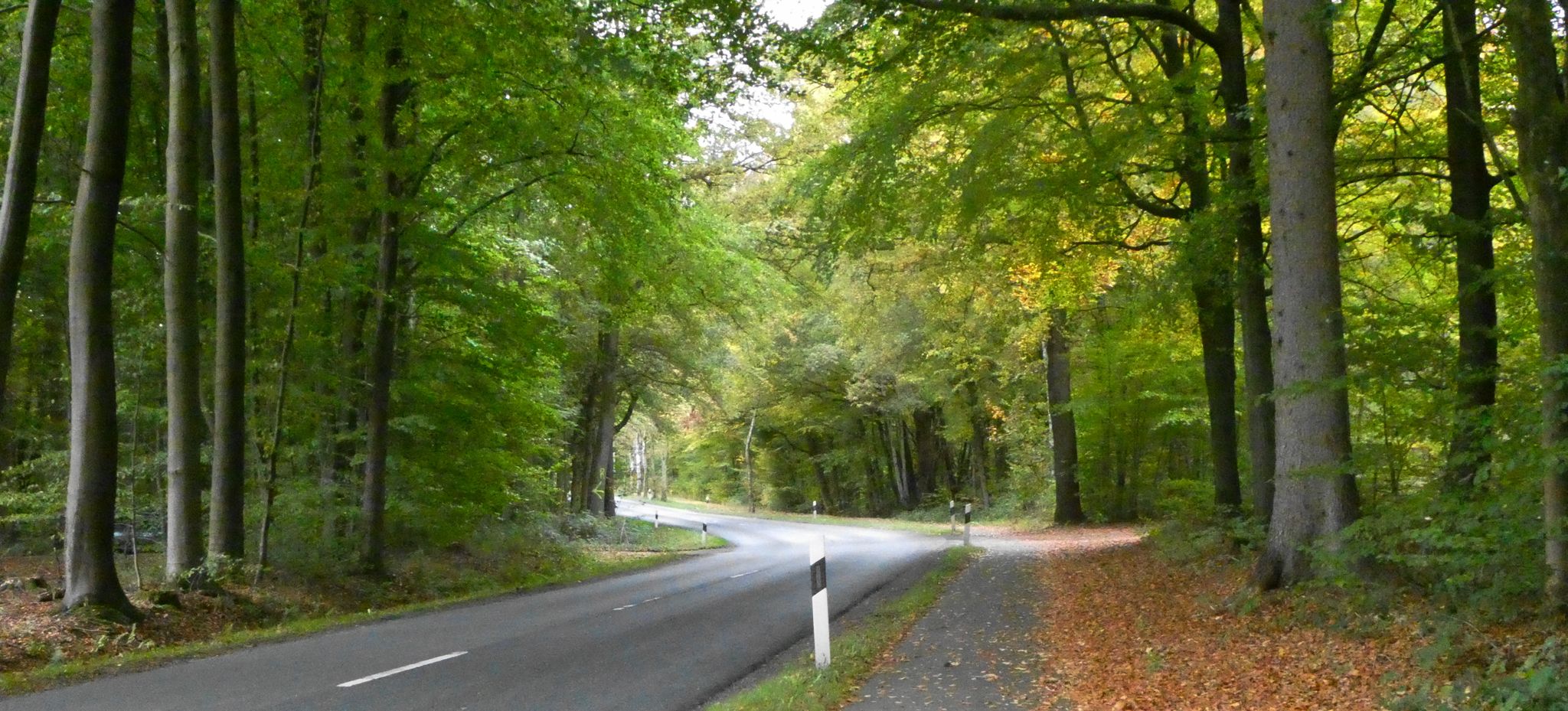 Rüstjer Forst - wieder schöne Durchfahrt