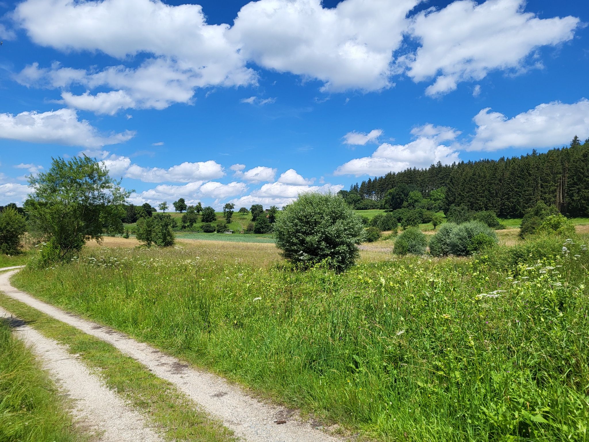 ein herrliches Gebiet