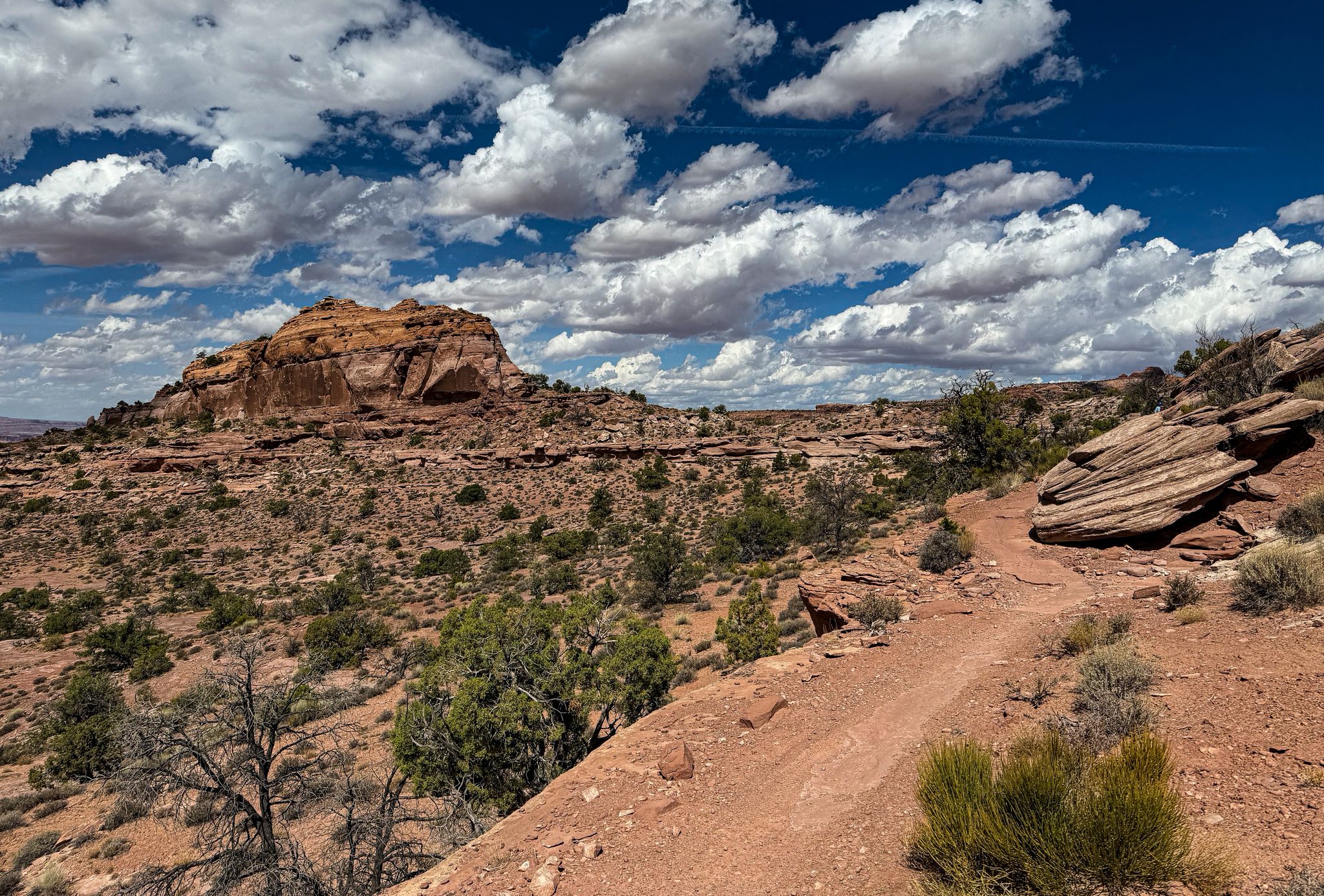 A winding dirt trail through a red rock desert with sparse vegetation. - Raptor Route