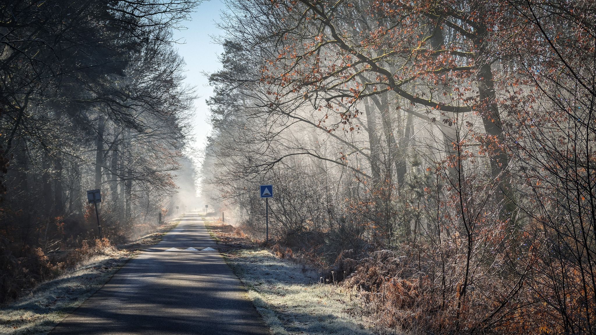 Kurz vor Schirrhoffen (dt. Schirrhofen) - auf der Route Forstière des Juifs durch den Wald