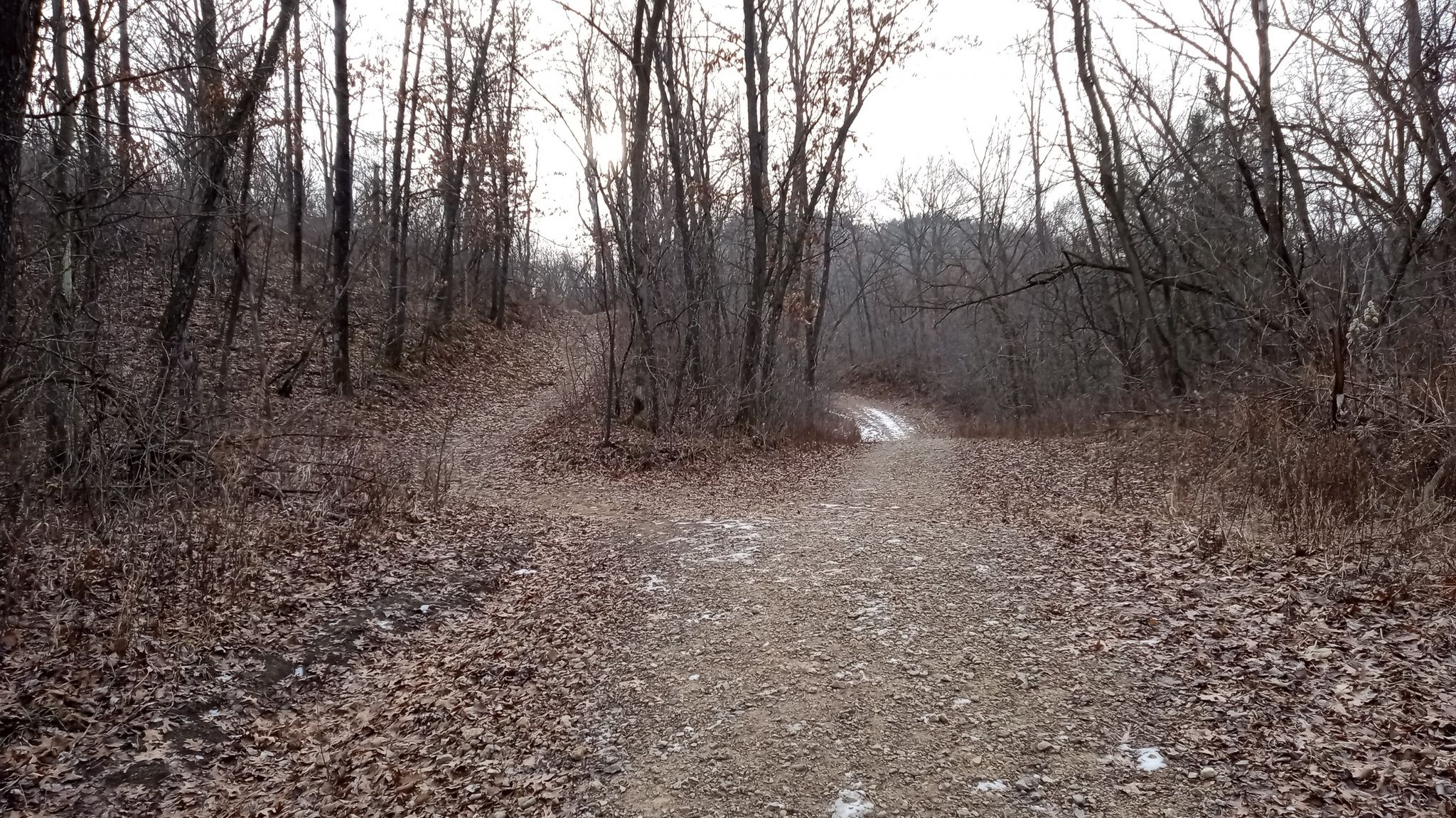 Dirt path splitting in a bare winter forest under an overcast sky. - Stone House Trail