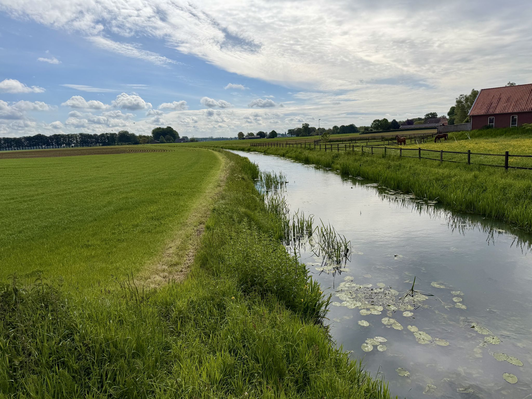 Groote Beek, Brug Torenallee