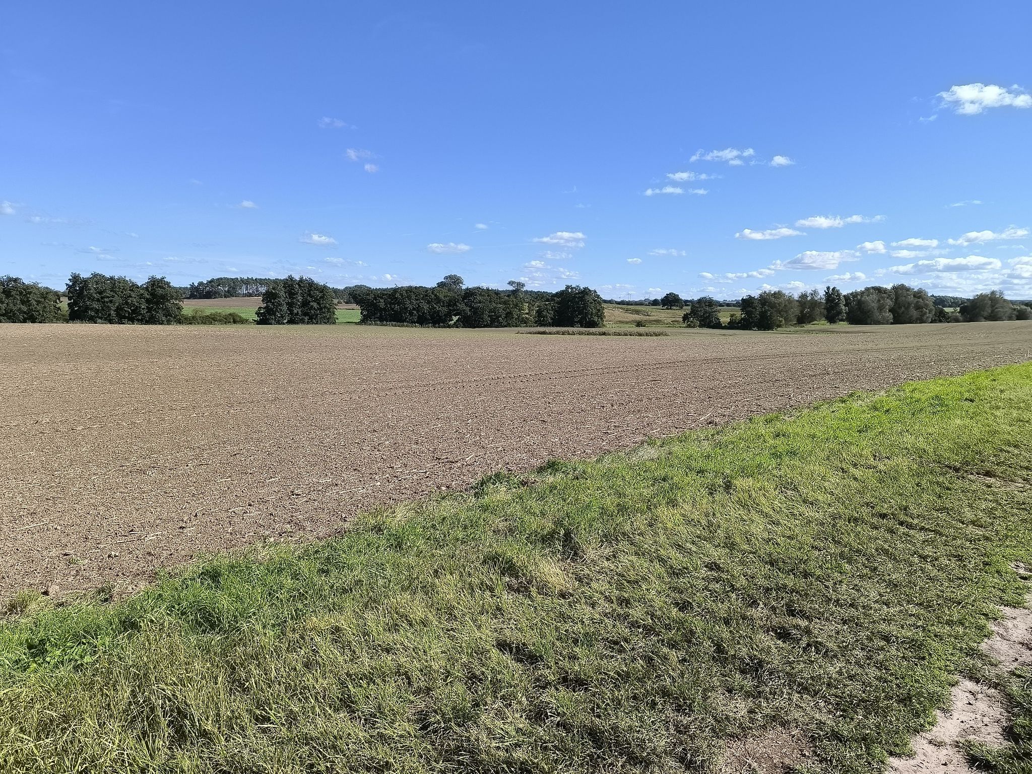 Landschaft an der Windfahne