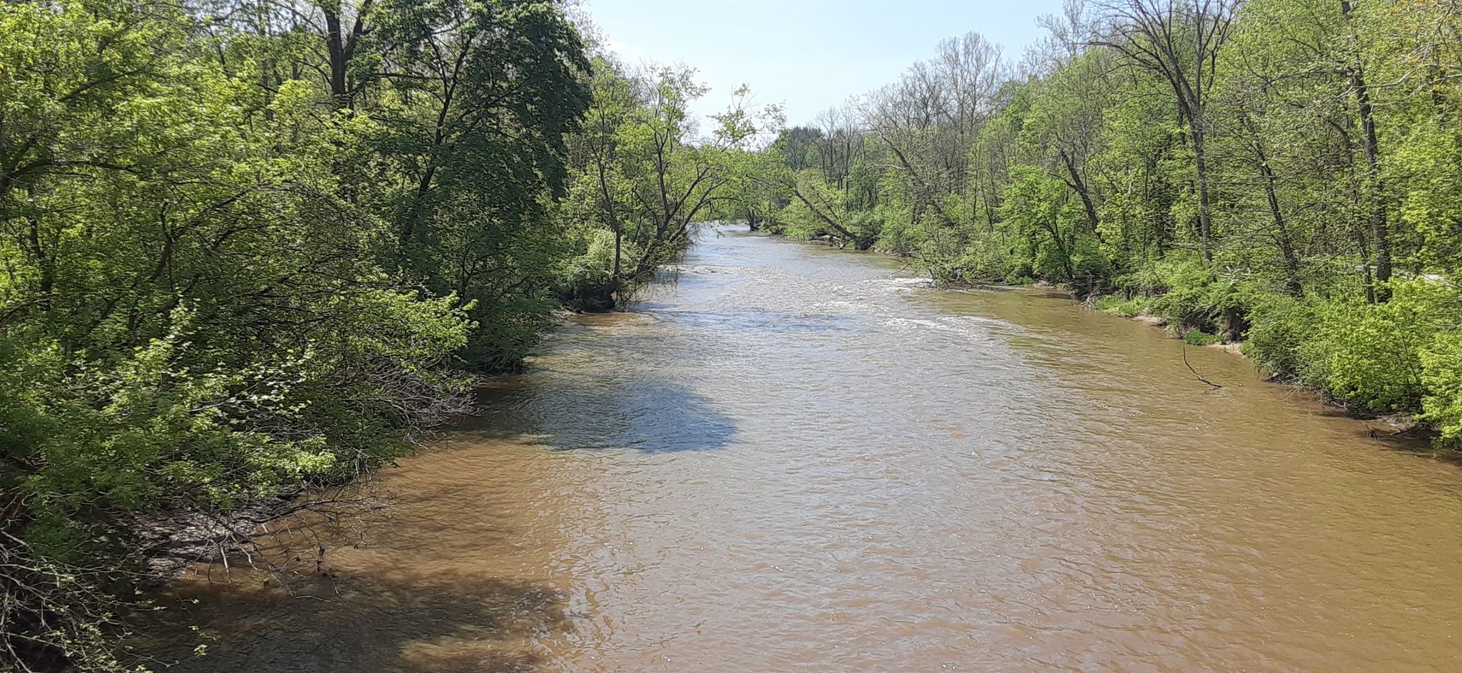 Wide muddy river flowing between dense green trees under bright daylight. - Ohio & Erie Canal Towpath: Peninsula Loop