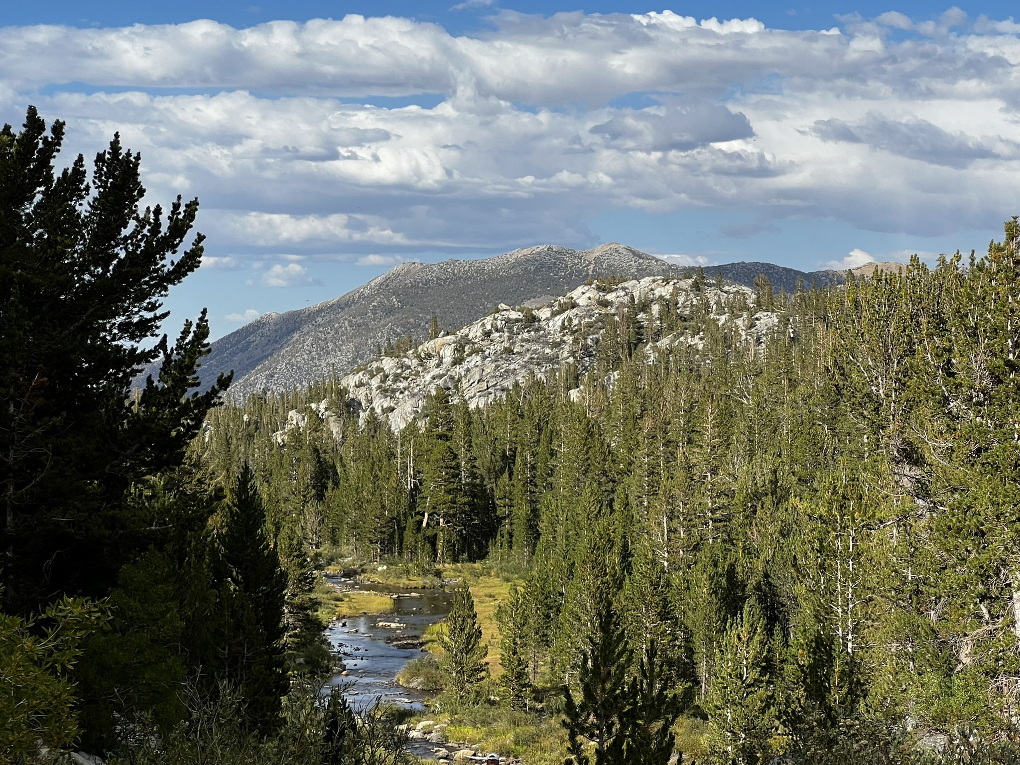 Lush pine forest and rocky hills surround a winding river under clouds. - Mono Pass Trail