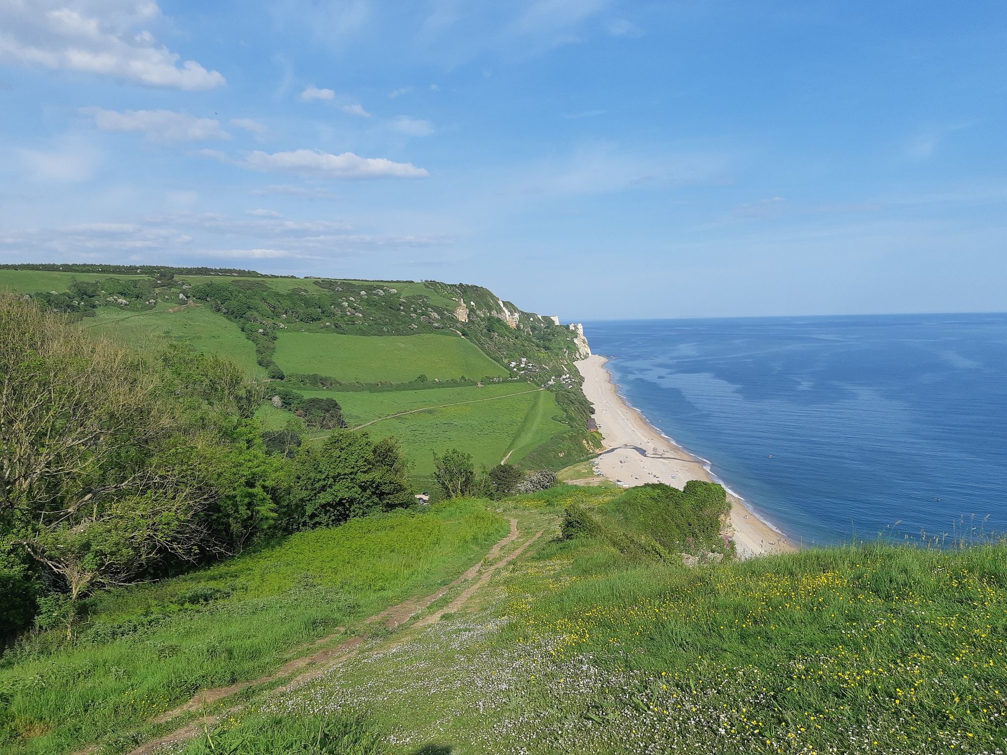 South West Coast Path view above Branscombe Beach towards Hooken Cliffs