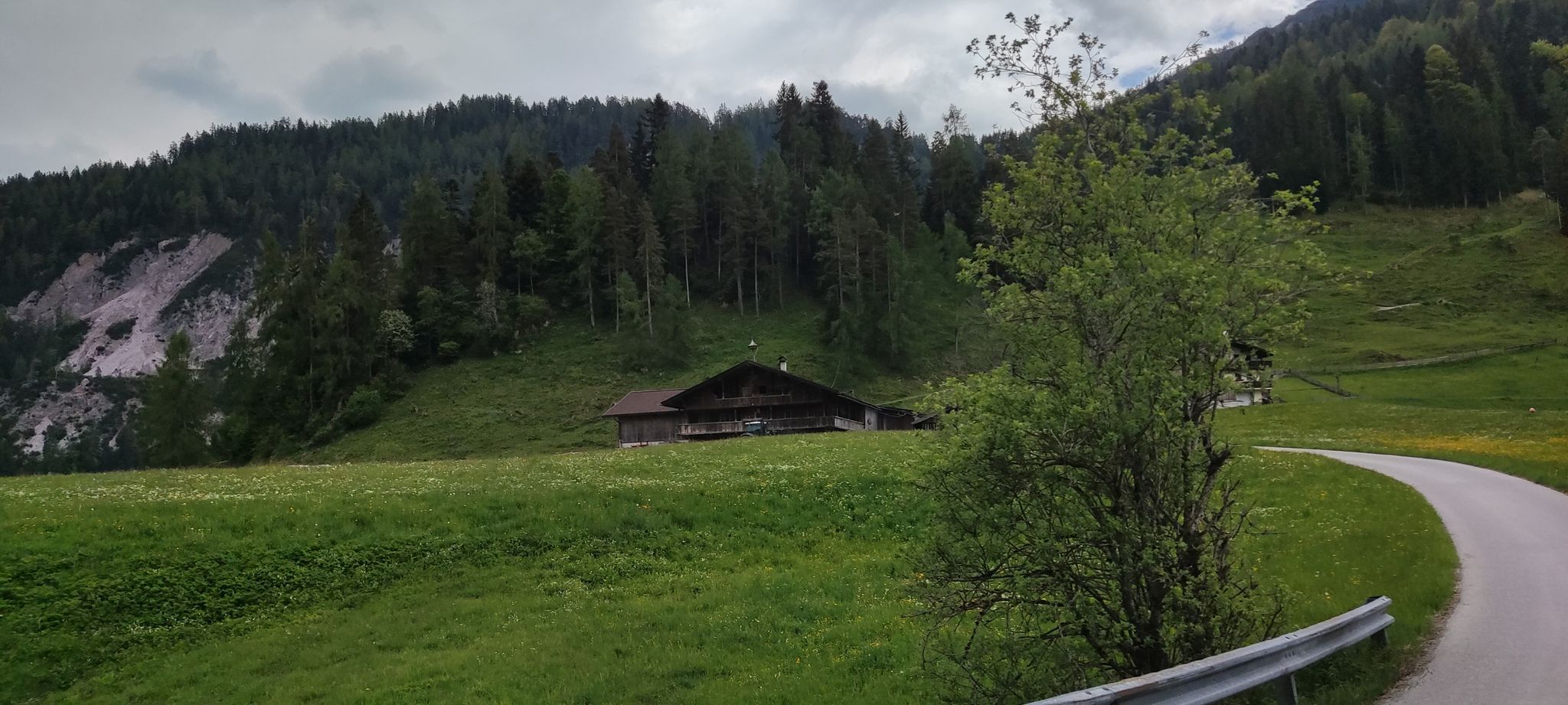 przez pole