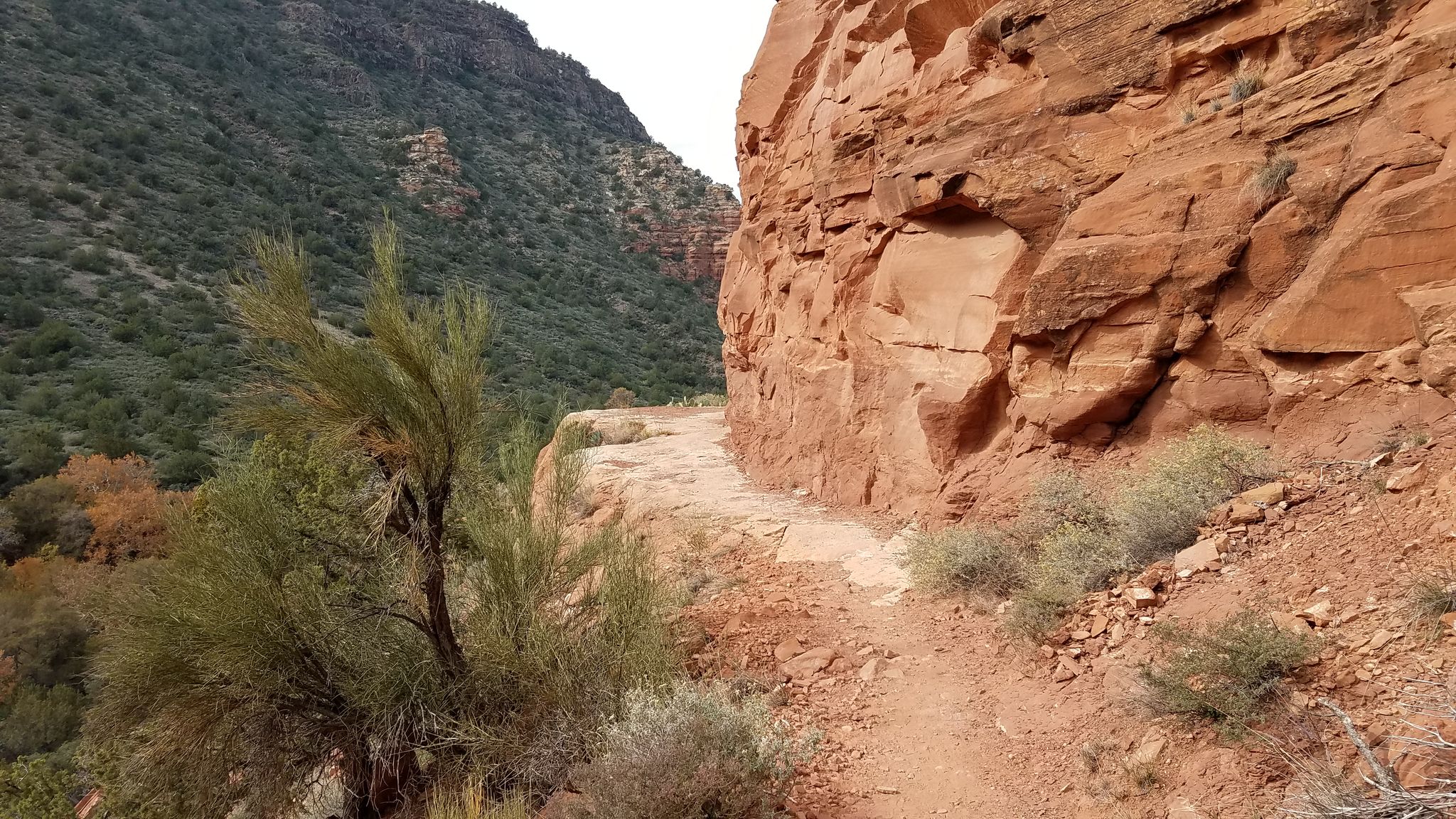 Narrow dirt trail along a towering red rock cliff with green hills. - Bell Trail