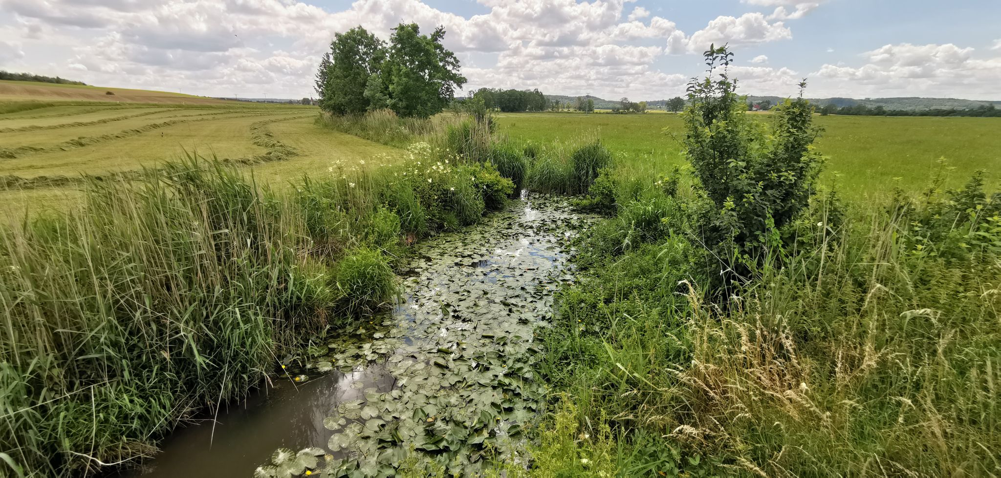 Die Wörnitz bei Zischendorf