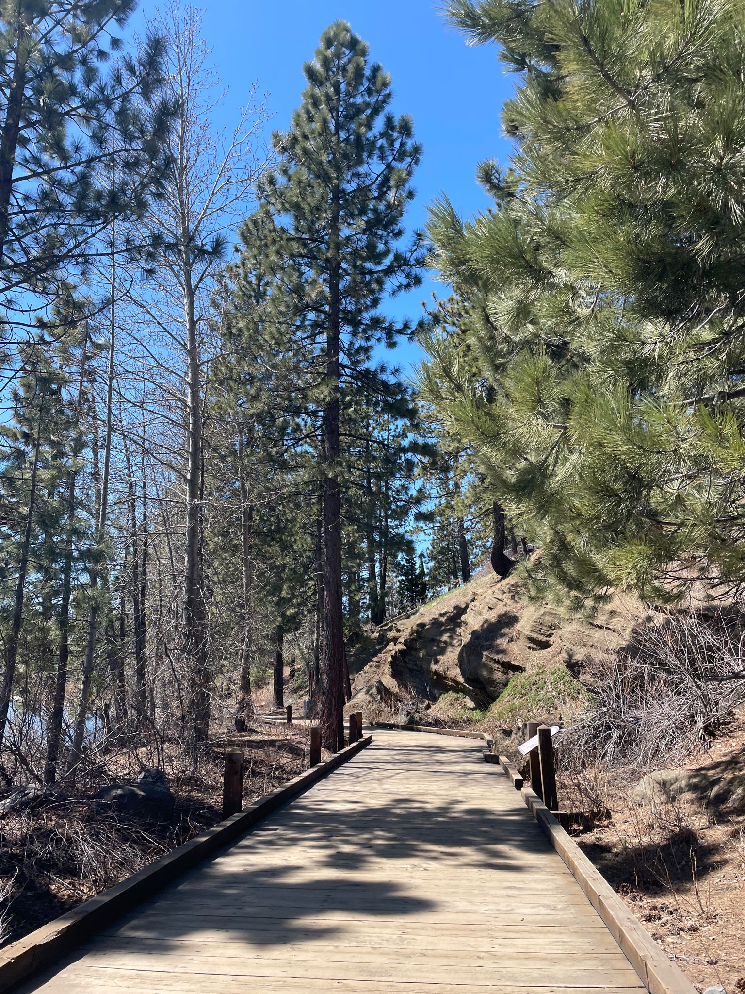 Wooden boardwalk winding through a sunlit pine forest and rocky hillside. - Dollar Point to Tahoe City