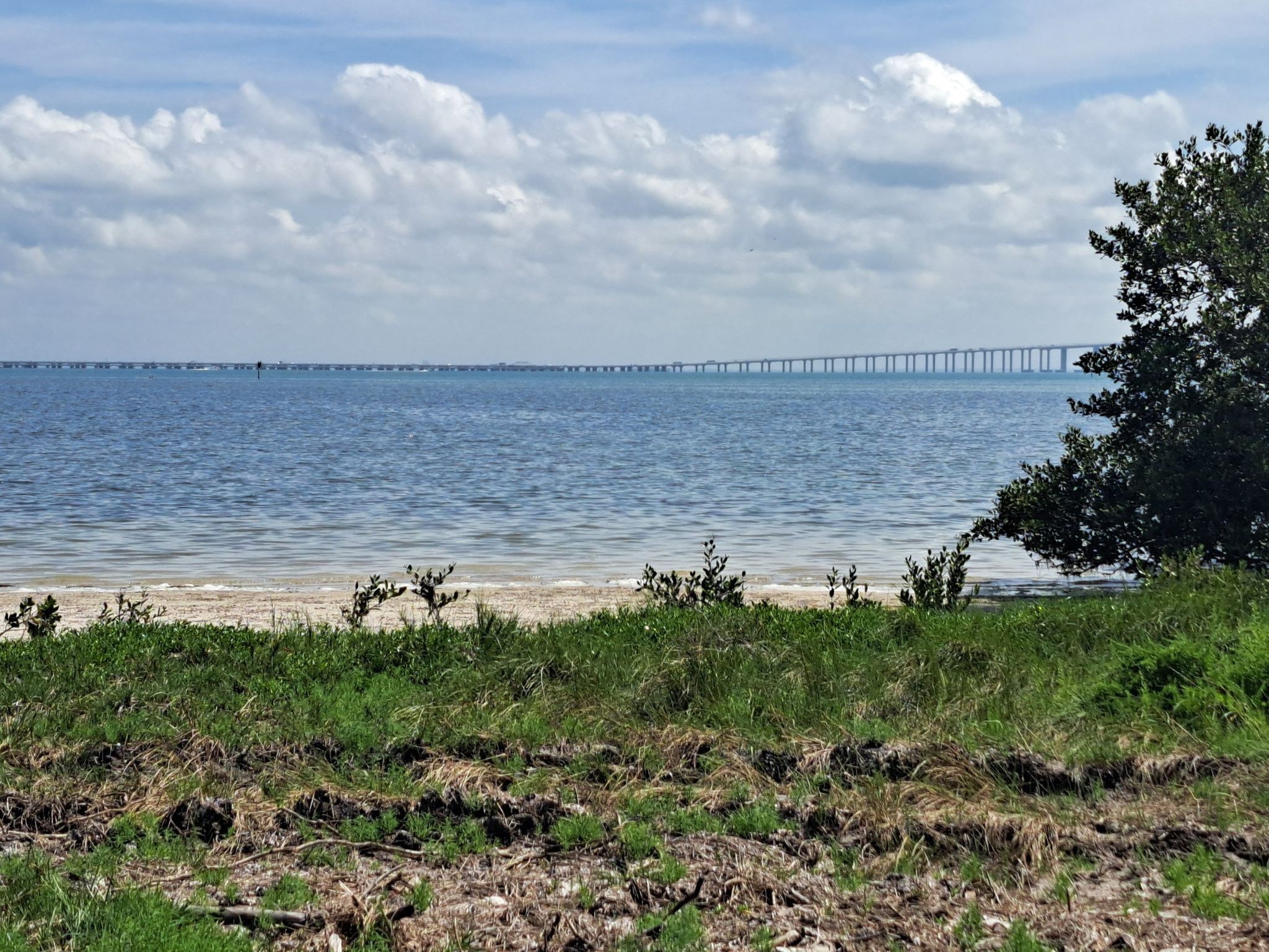 Grassy shore leading to calm water with a long bridge under a cloudy sky. - Fort De Soto Recreational Trail
