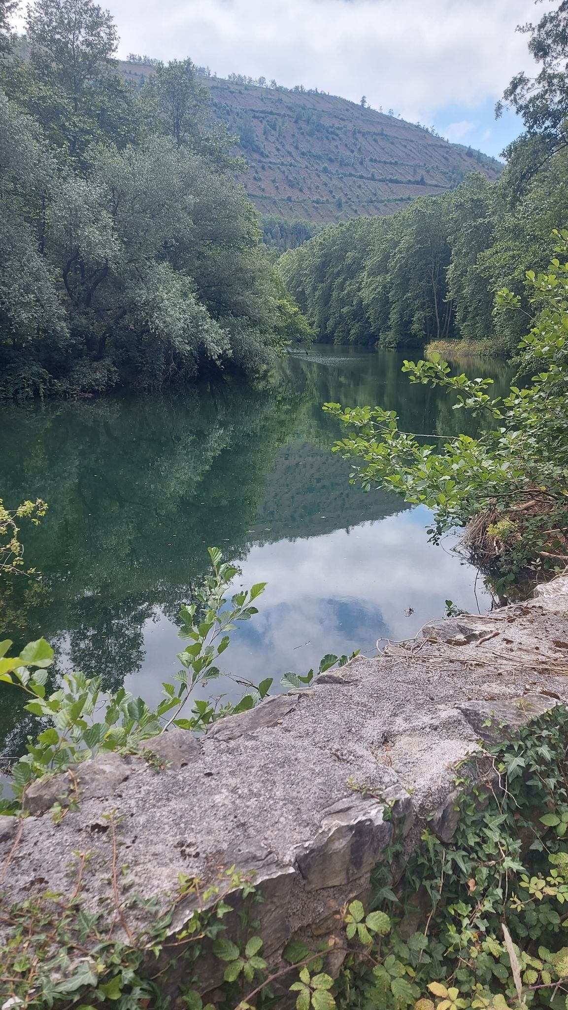 Der Fluss Bidasoa