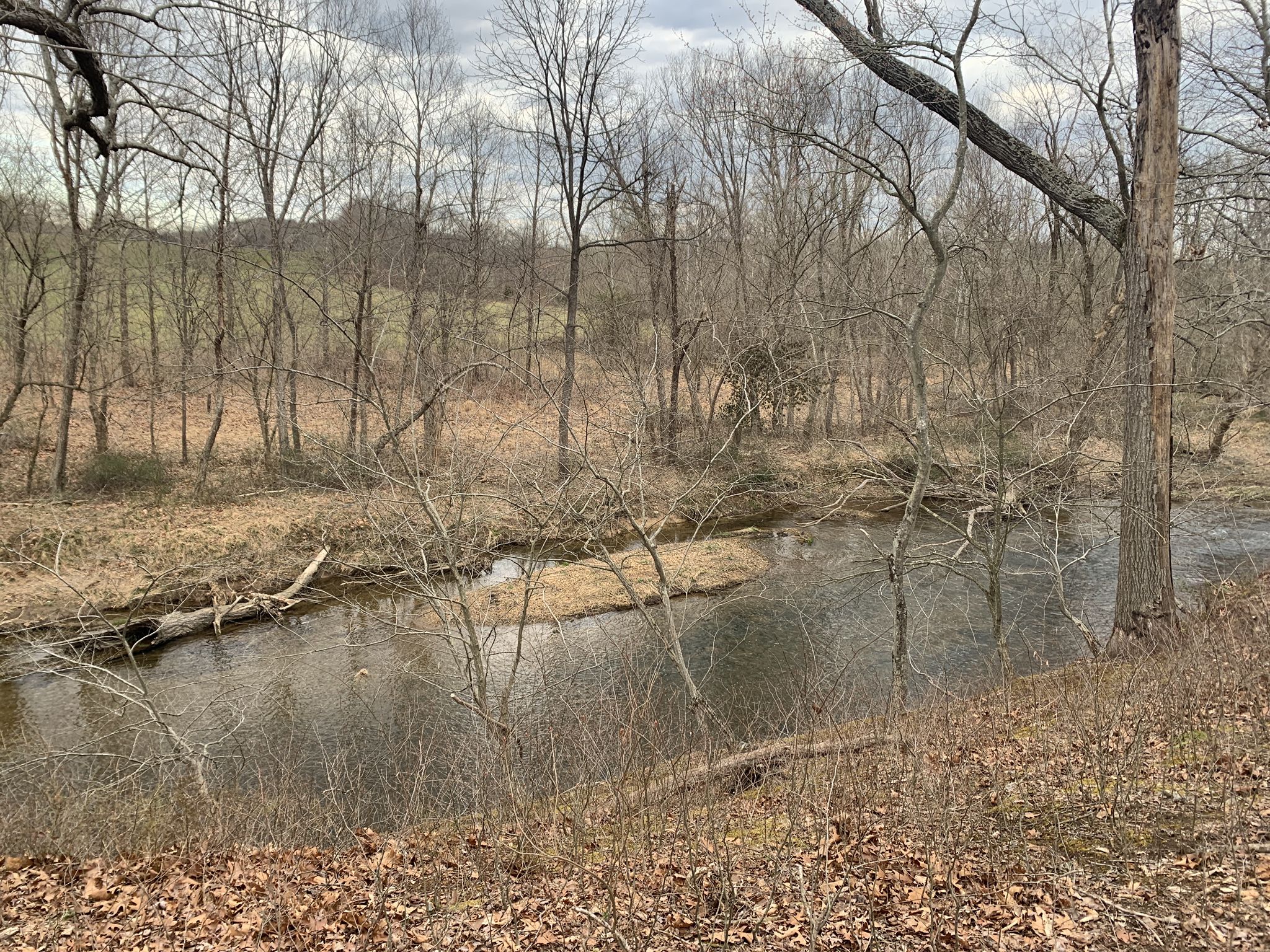 Wide river flowing through a bare winter forest landscape. - Seneca Creek State Park – Schaeffer Farm Trail System loop from Little Seneca Greenway Stream Valley Park
