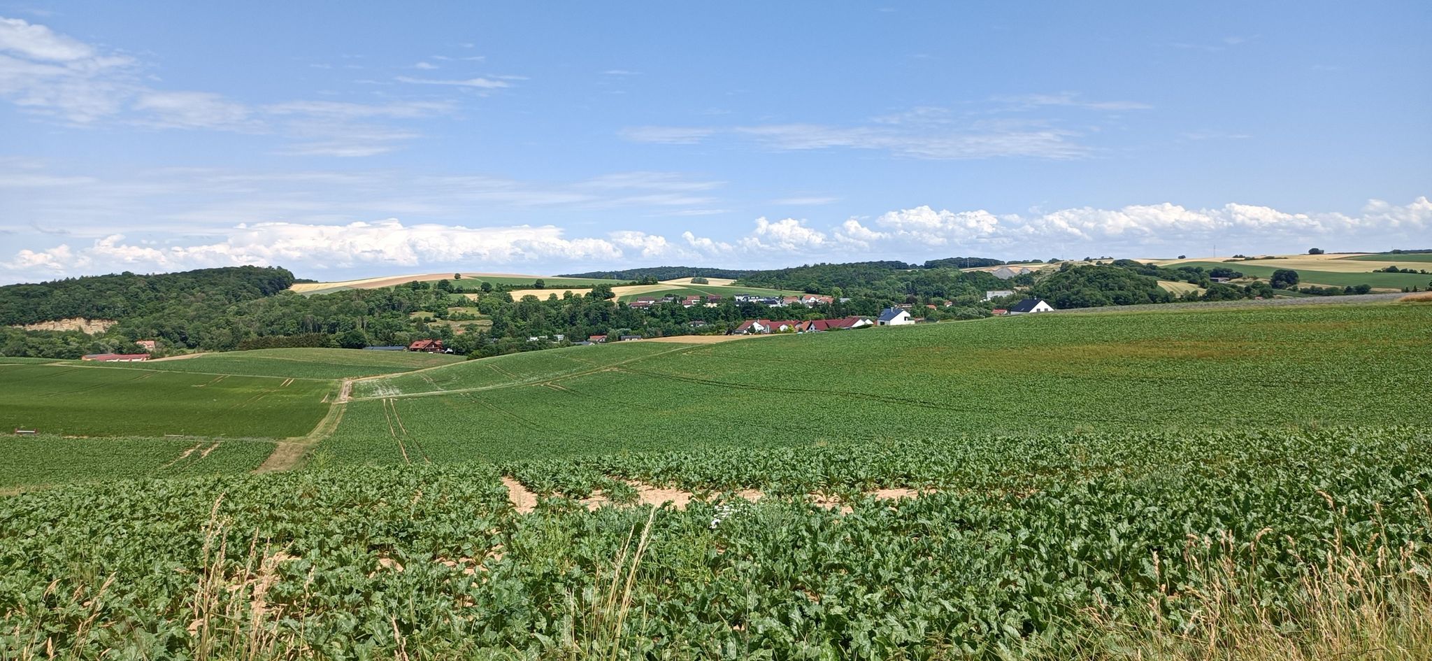 Ittlingen