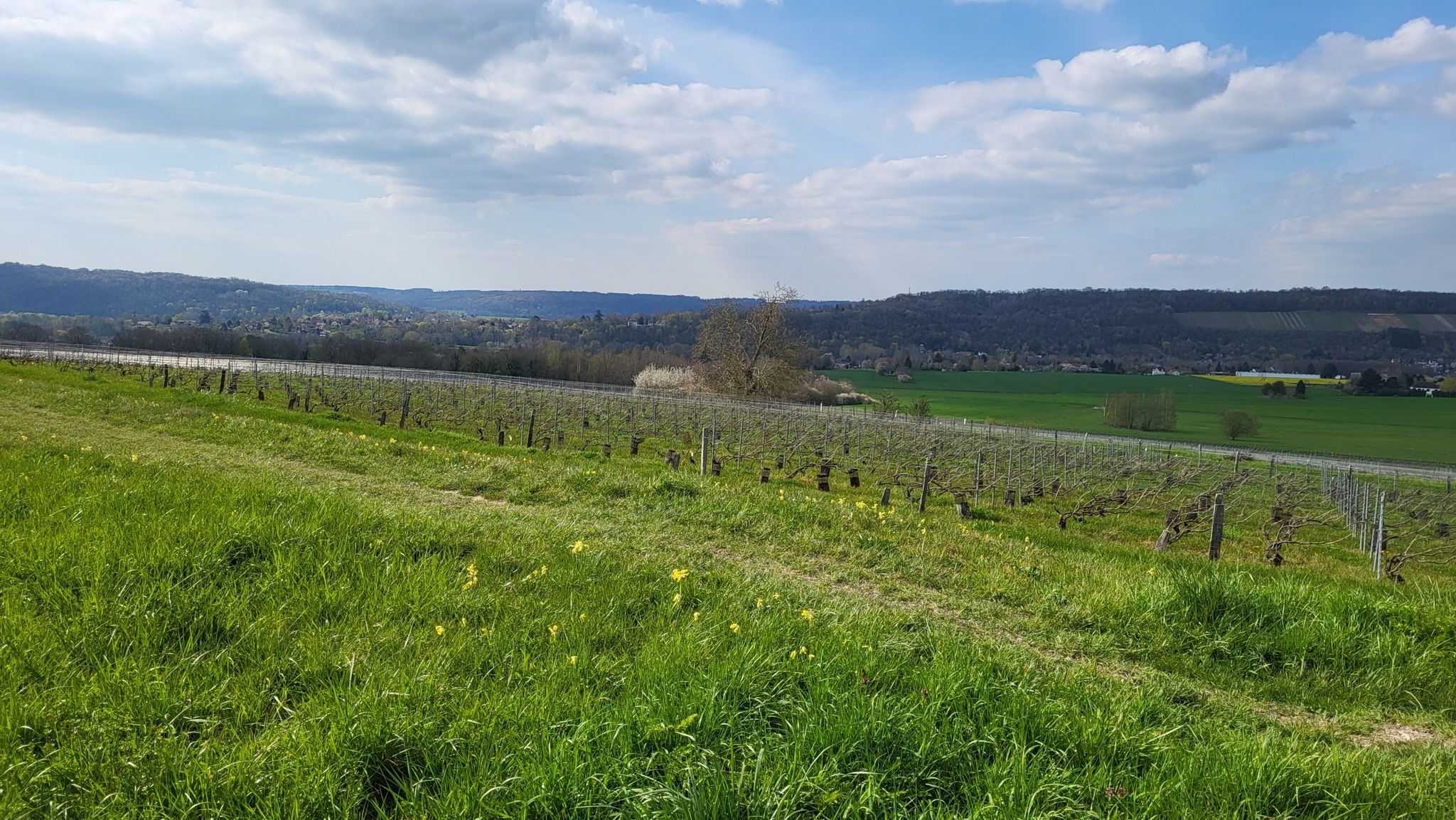 Mery sur Marne