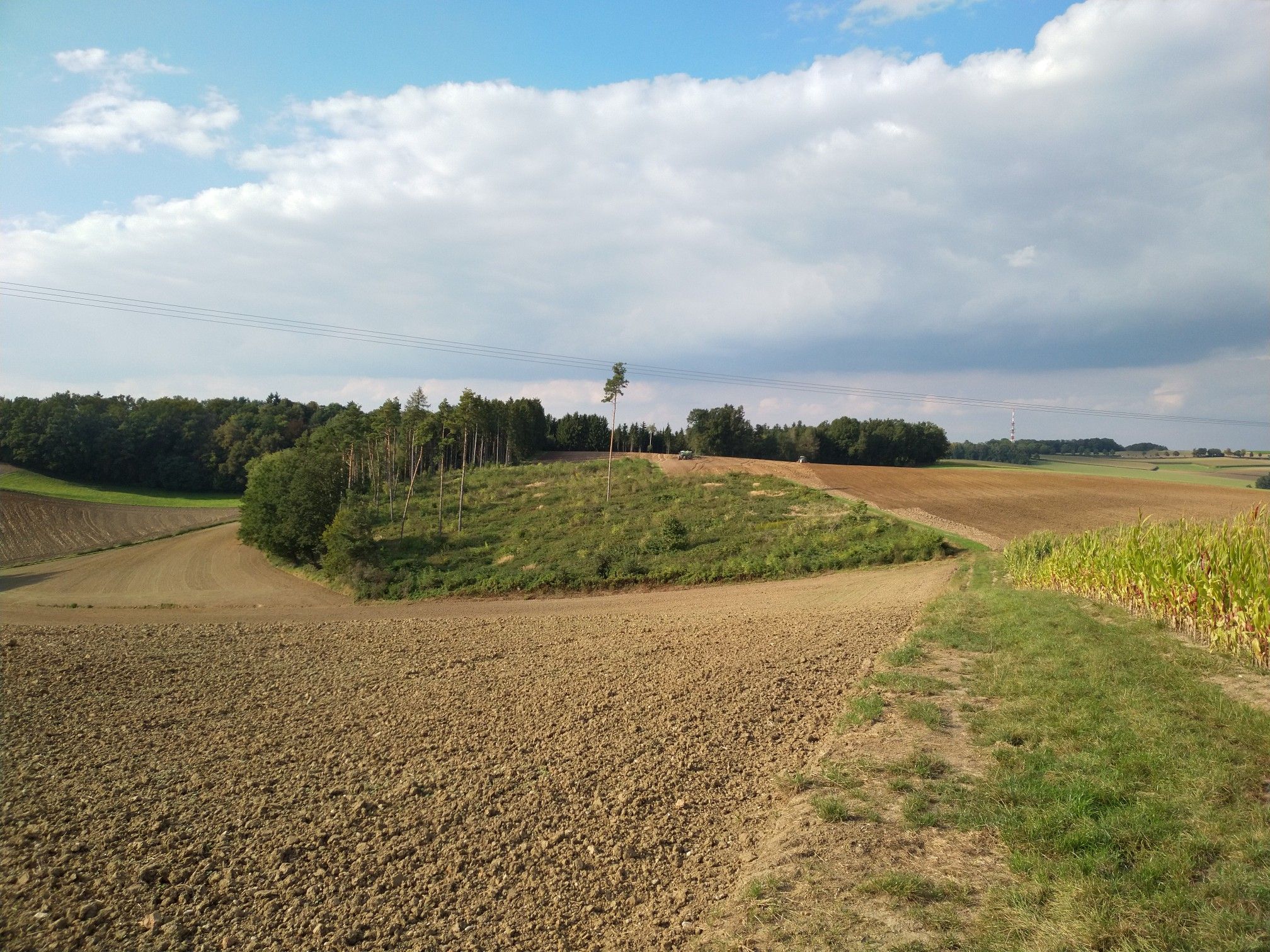 Hinter Berndorf: Blick zum Salzdorftrail