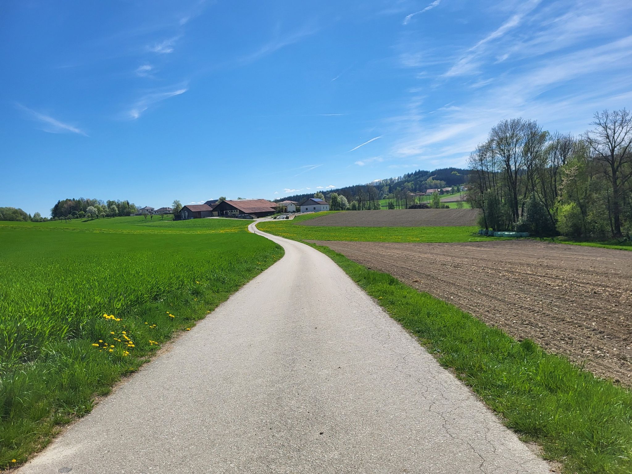 Außerjebing