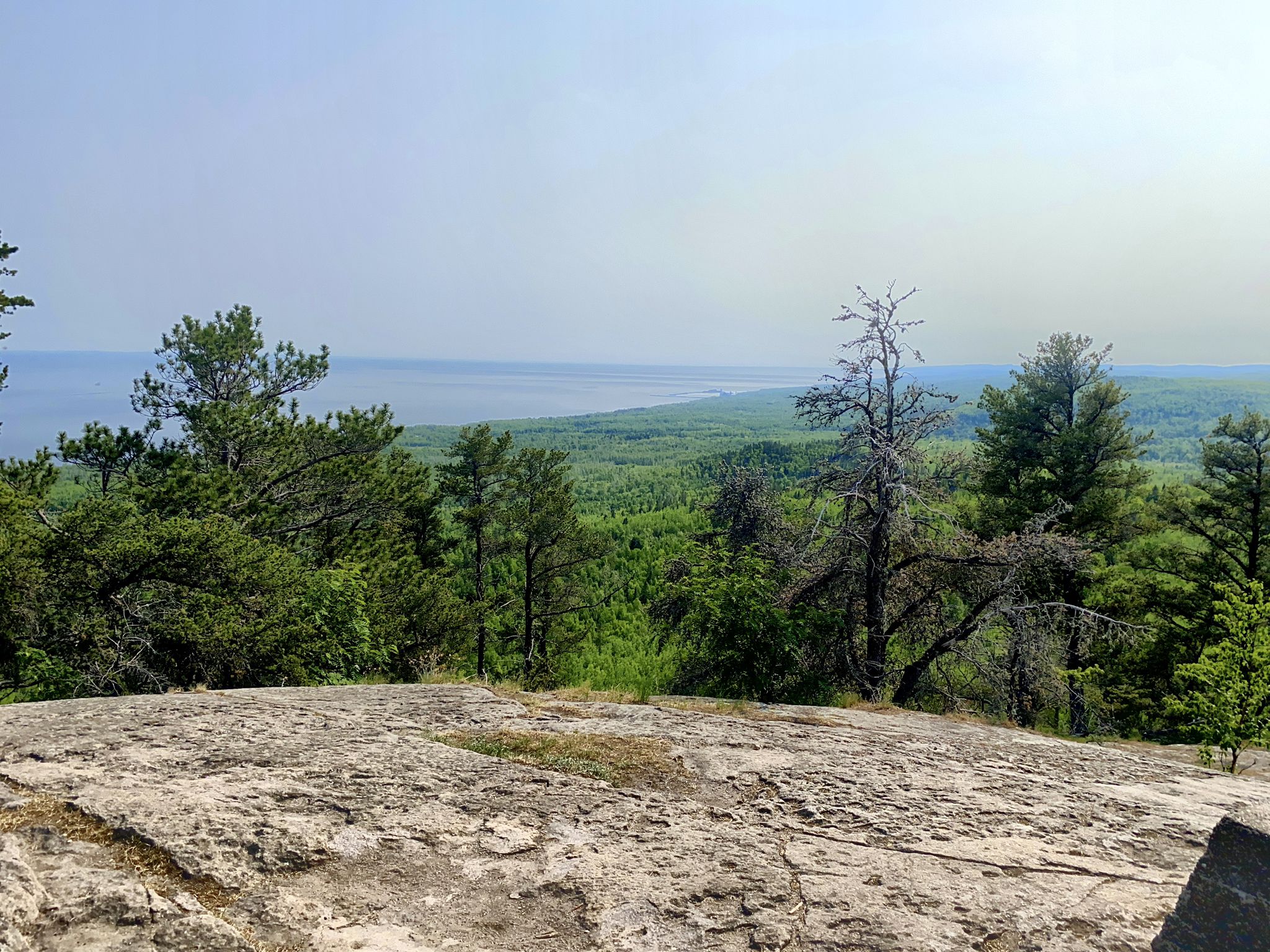 A rocky outcrop overlooks a vast green forest and a distant body of water. - Carlton Peak from Britton Peak Trail