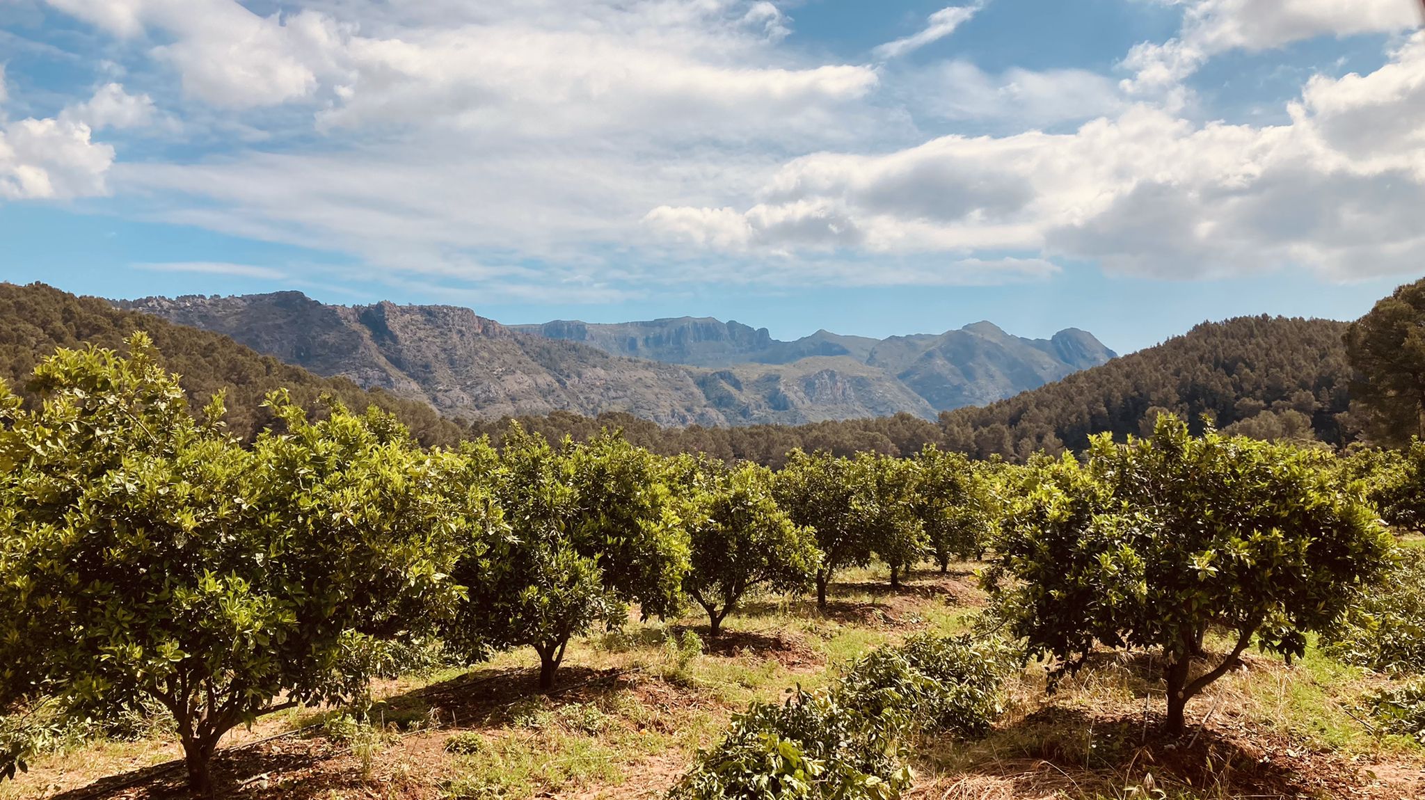Vistas Serra de la Murta