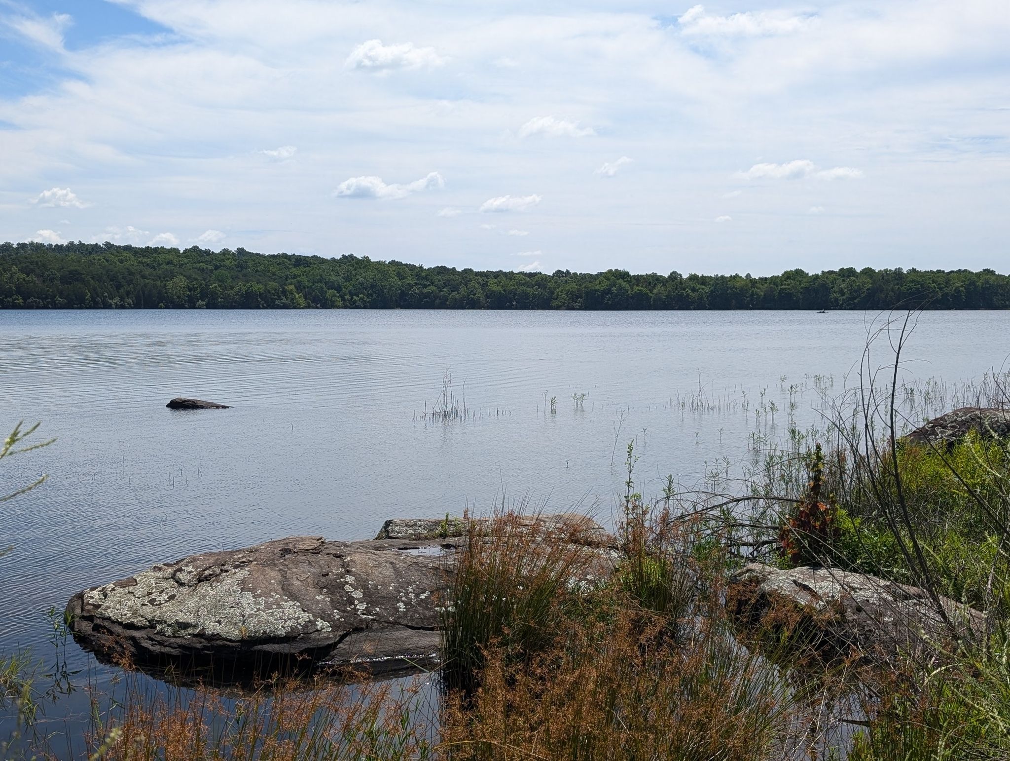 A calm lake with forested shores under a cloudy sky, rocks in foreground. - Beaverdam Reservoir loop